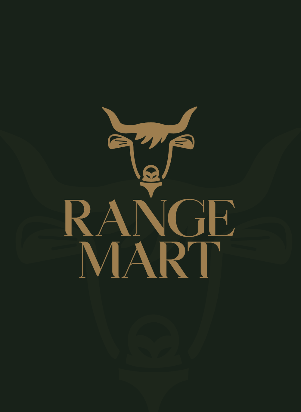 Custom Business Branding and Website Design for Small Businesses ...