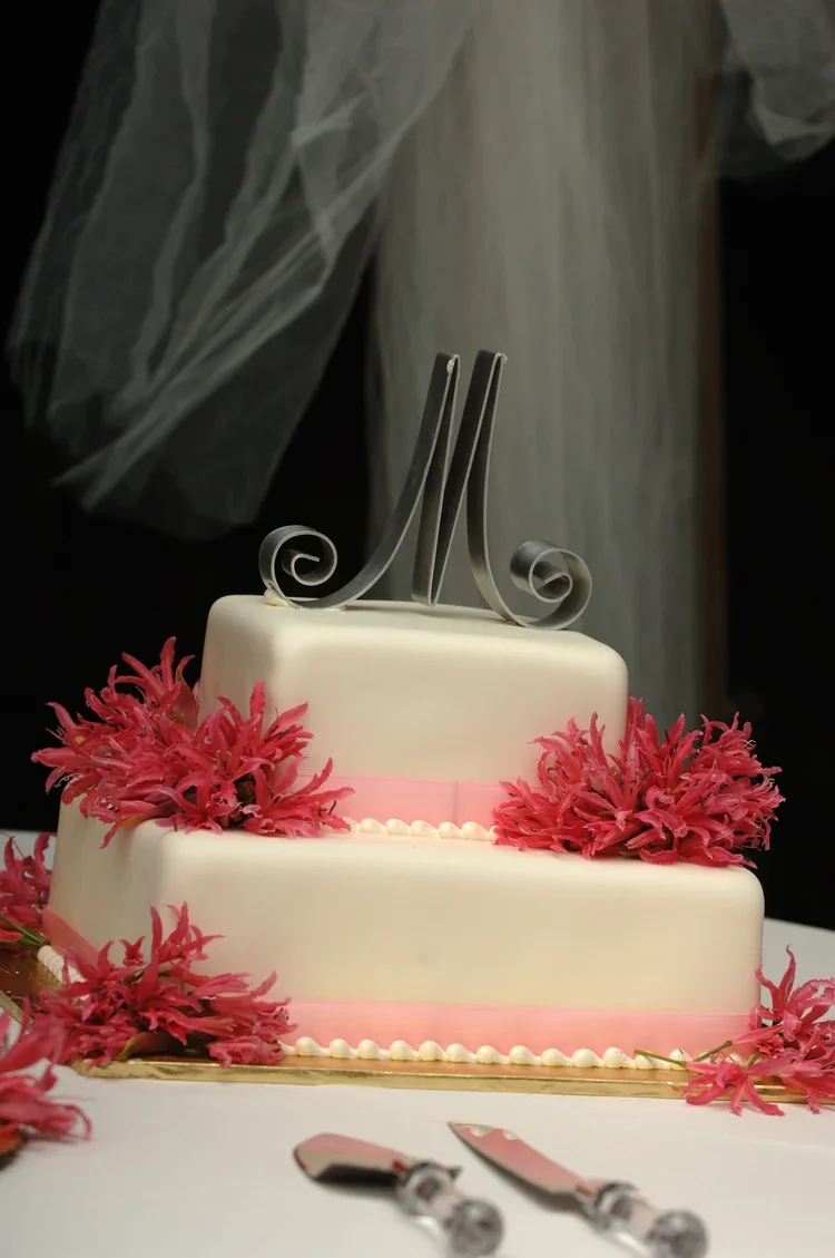 DSC_0329.JPG.webp