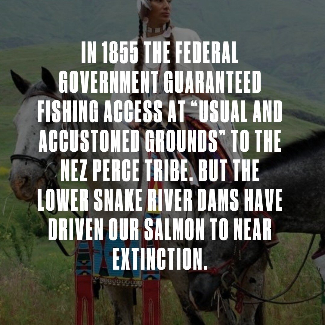 In 1855 the federal government guaranteed fishing access at &ldquo;usual and accustomed grounds&rdquo; to the Nez Perce Tribe. But the Lower Snake River dams have driven our salmon to near extinction, After generations of broken promises we are simpl