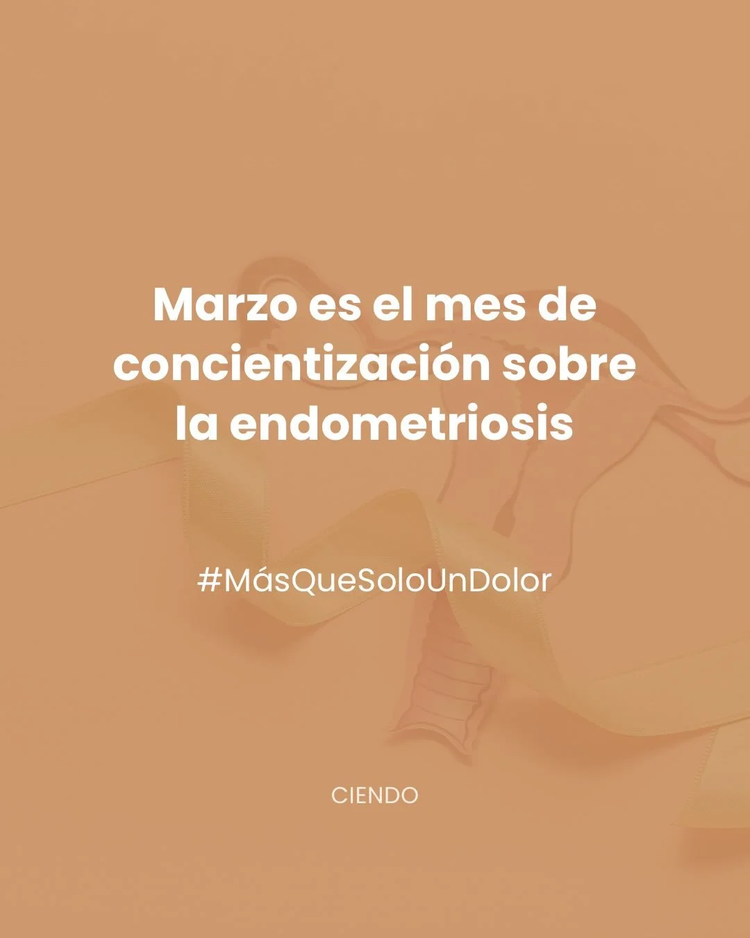 Llega marzo, el mes de concientizaci&oacute;n sobre la endometriosis 🎗

Es una de las enfermedades m&aacute;s dolorosas que existen, y todav&iacute;a persisten brechas en investigaci&oacute;n, en diagn&oacute;sticos oportunos, en m&eacute;dicos capa