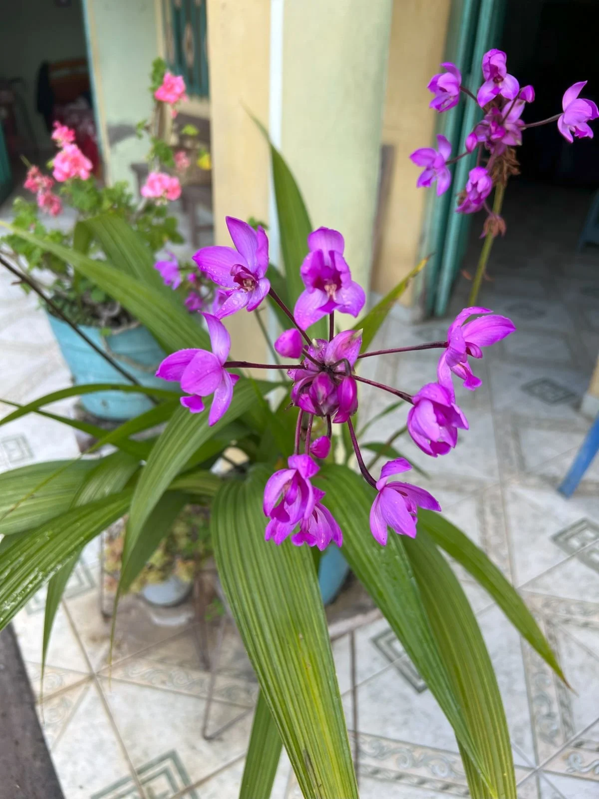 IMG_6955 (1)_Fany_Rosero0042_1200.jpg