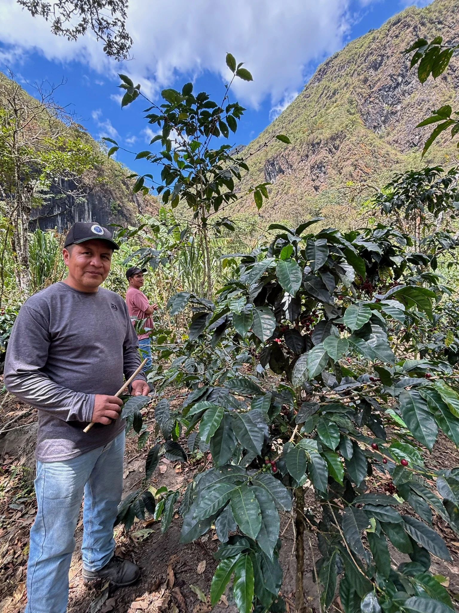 La Sierra_Produzent_Quimbaya.jpeg