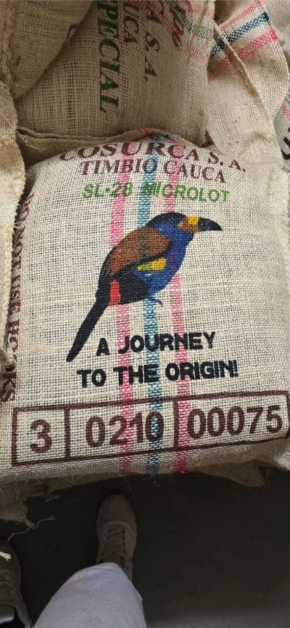 Quimbaya_jutesack_Vogel.jpg