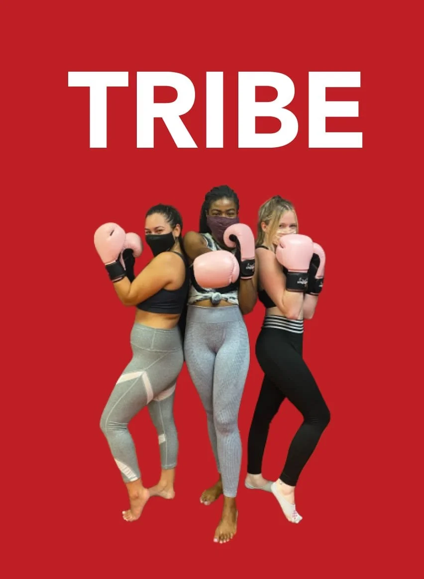 tribe-desktop-5.jpg