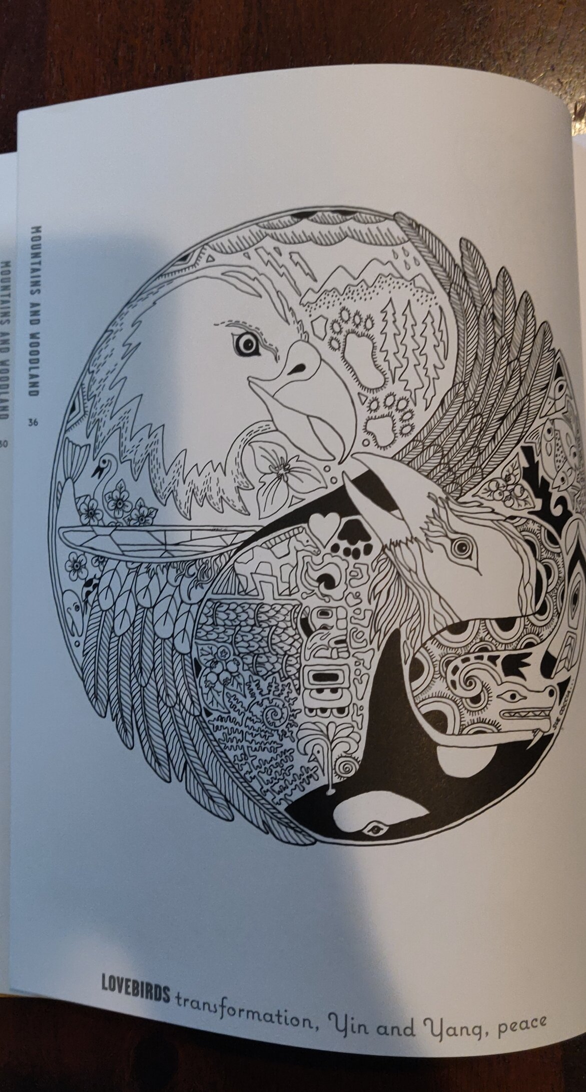 Yin Yang Coloring Book. A Mindful Adult Coloring Book For Stress