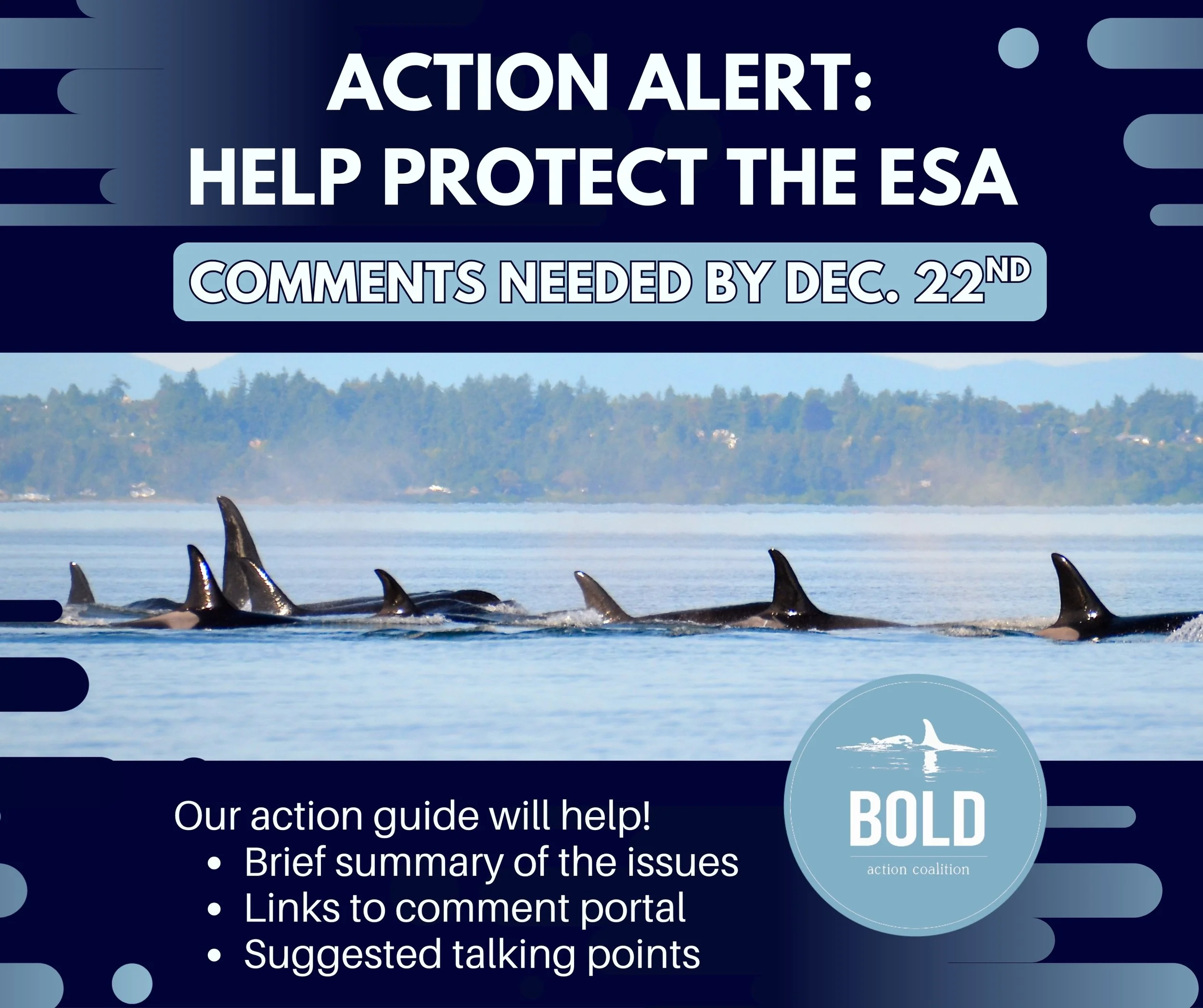 ACTION ALERT - PROTECT THE ENDANGERED SPECIES ACT