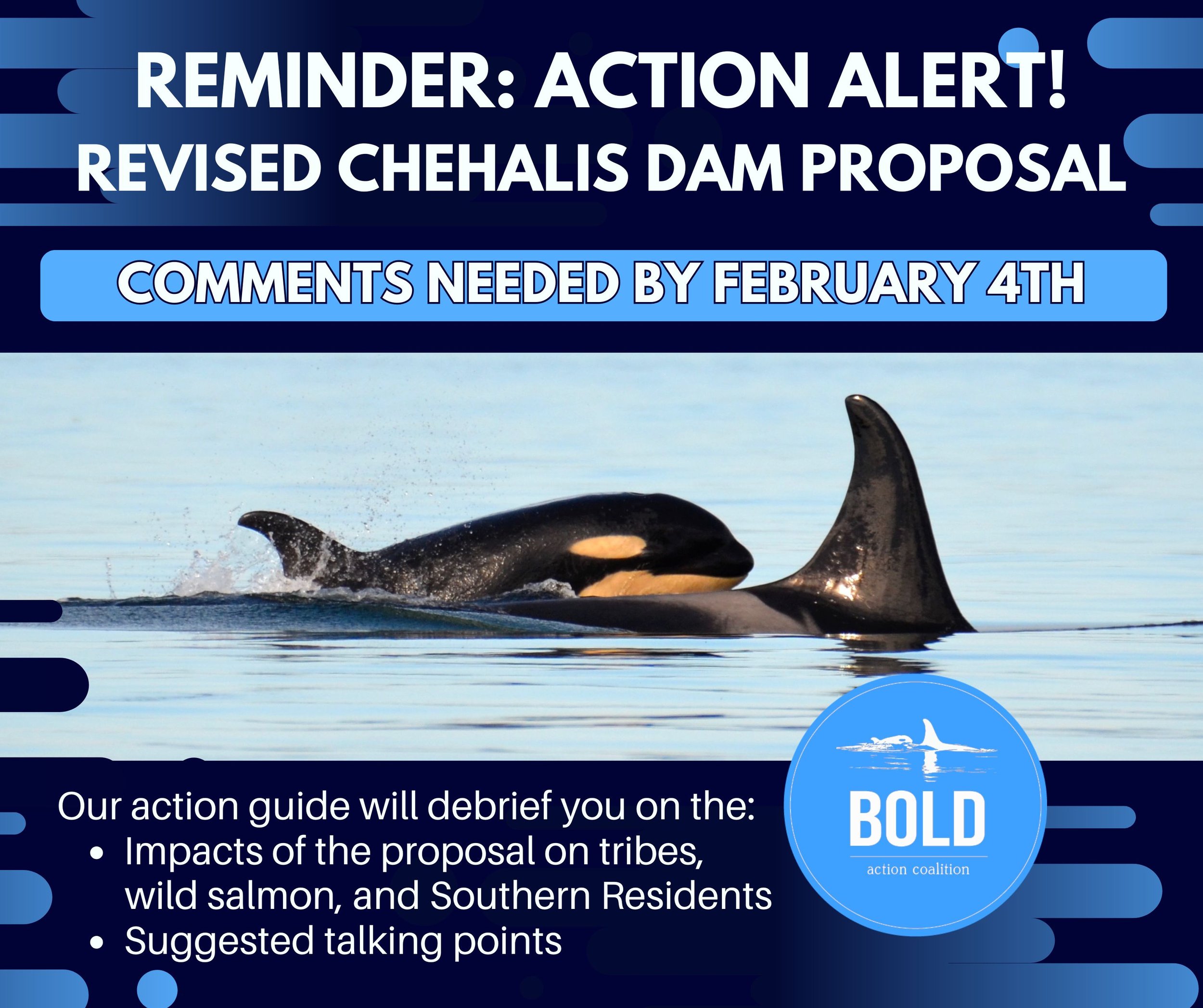 ACTION ALERT - OPPOSE A NEW DAM ON THE CHEHALIS RIVER