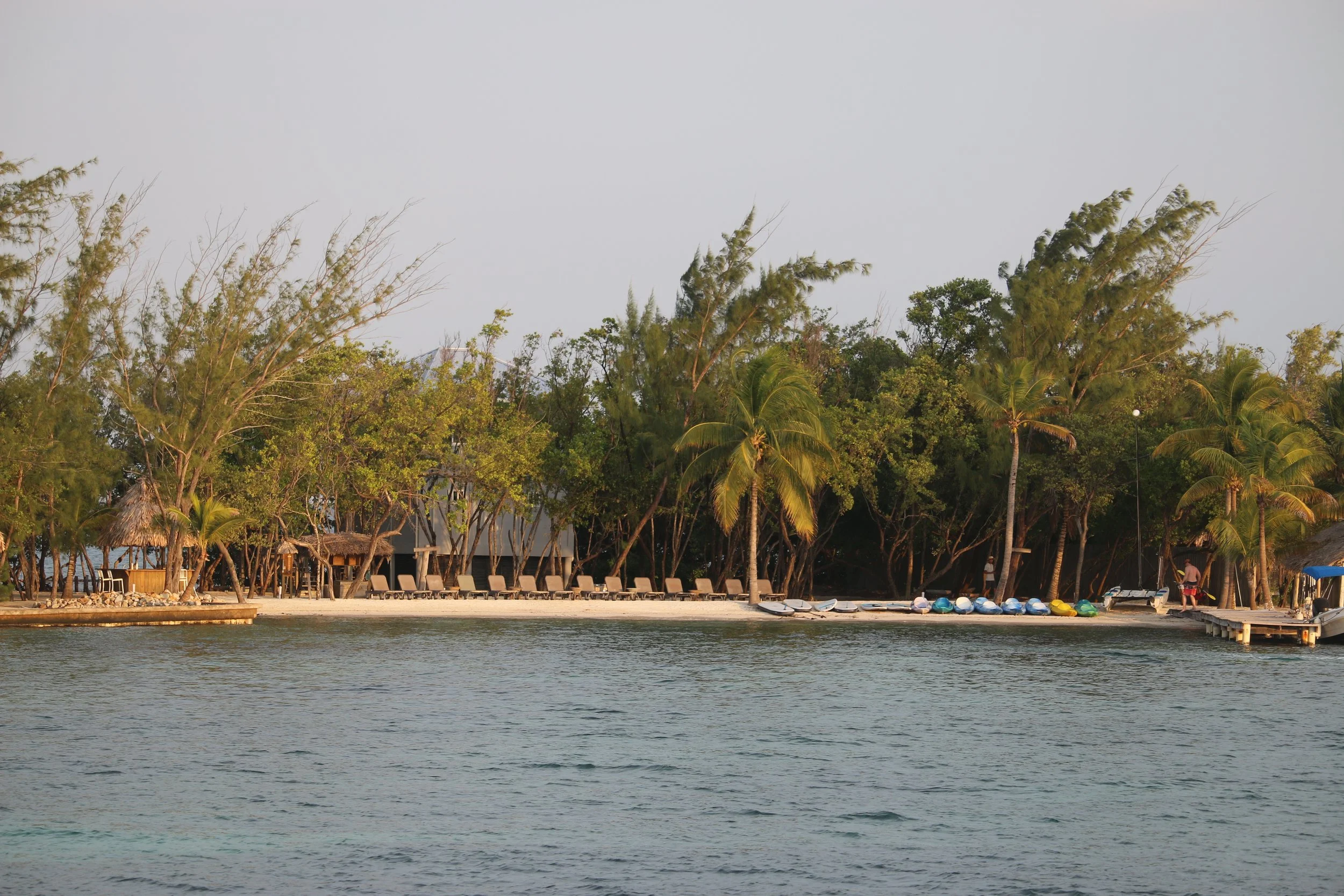 Island views