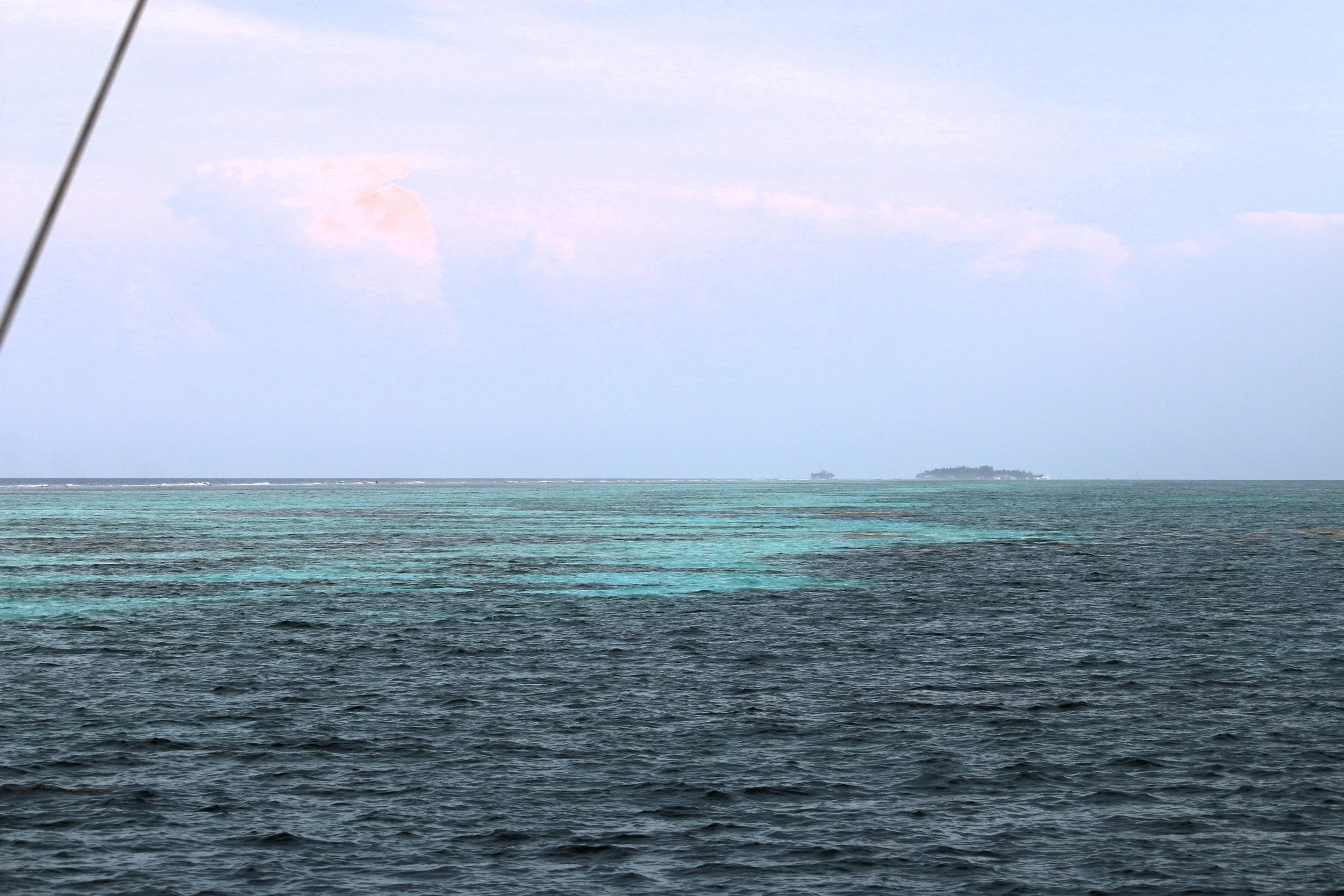 First views of the reef