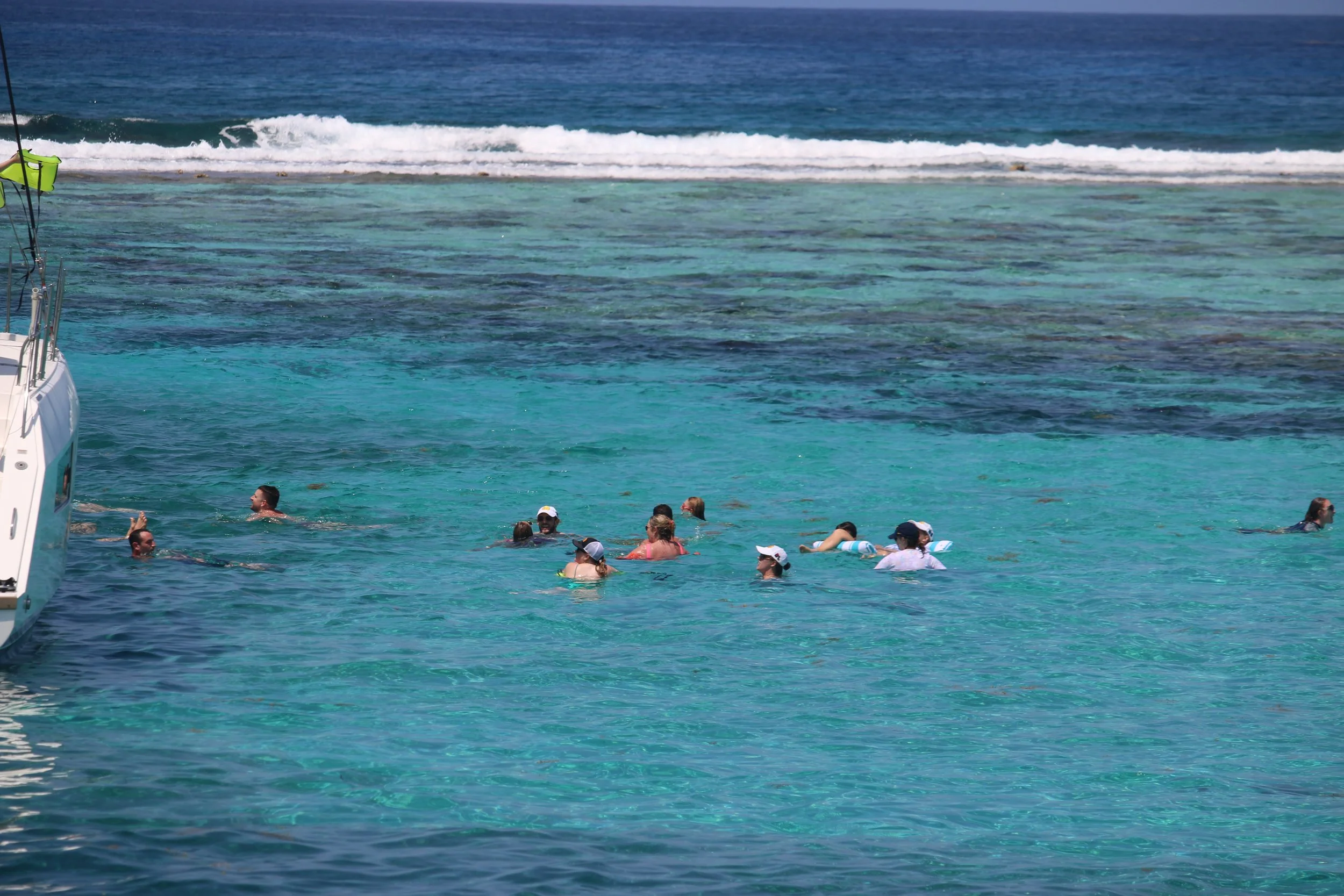 Beautiful colors of the reef