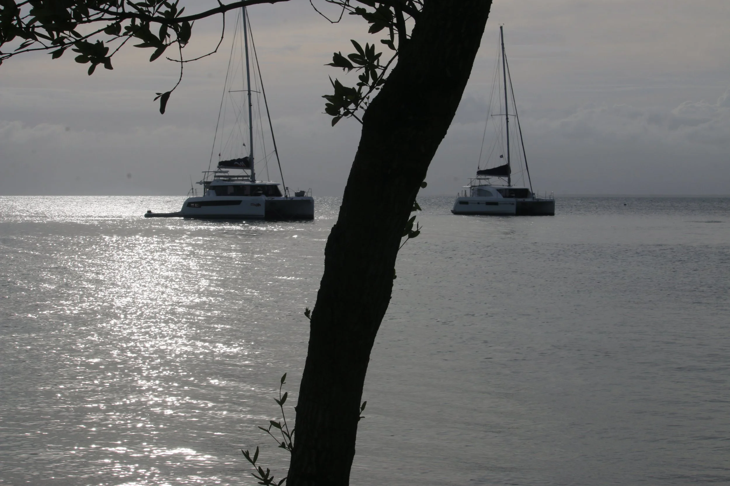 View of some of the catamarans from the island
