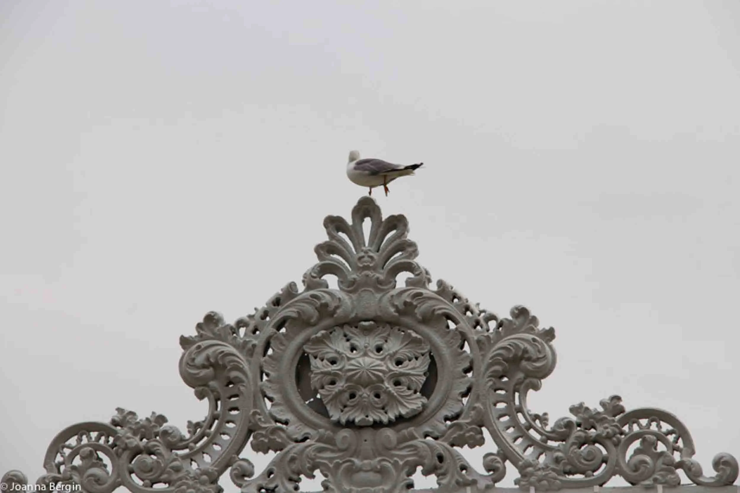"Double Arabesques" in Istanbul - The Gate of Dolmabahçe Palace
