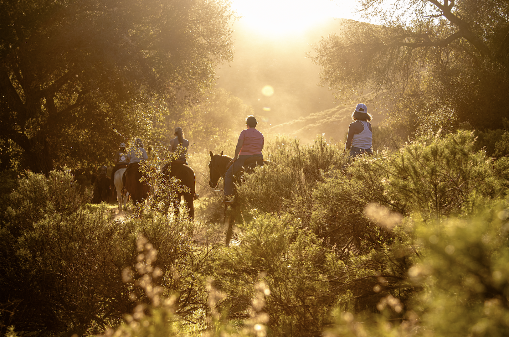 Summer Camp Slow Baja Style
