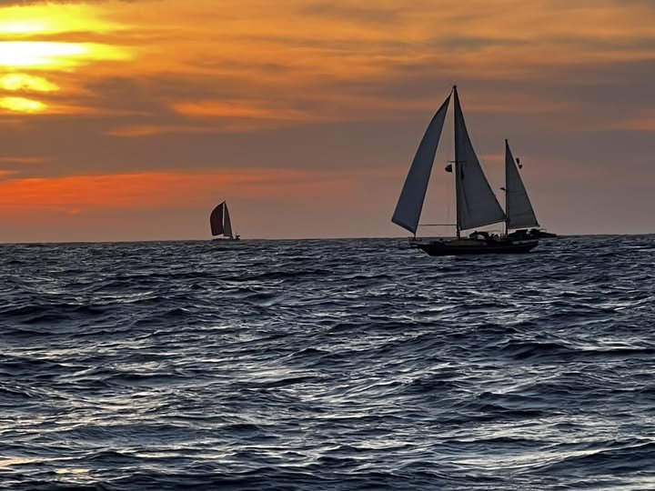 Chuck Skewes Sailing The Baja Ha-Ha!