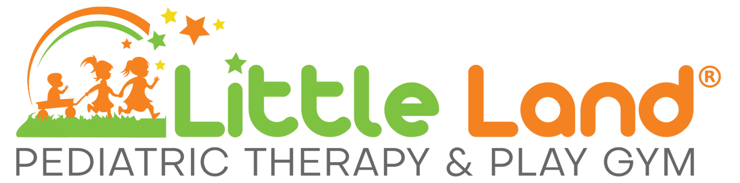 Little Land Pediatric Therapy &amp; Developmental Play Gym