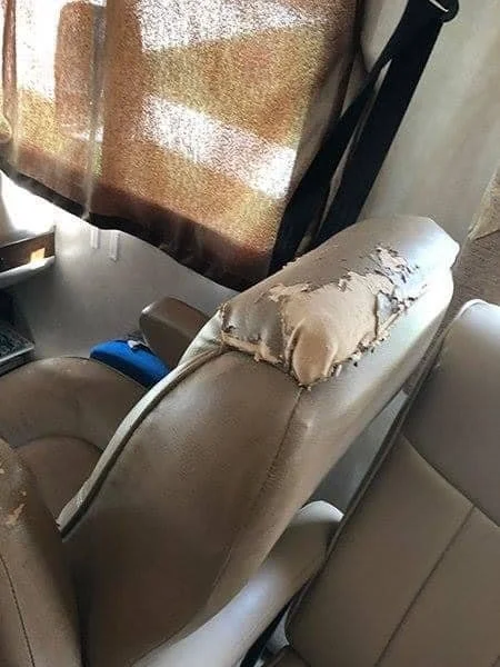 seat reupholstering_before.jpg
