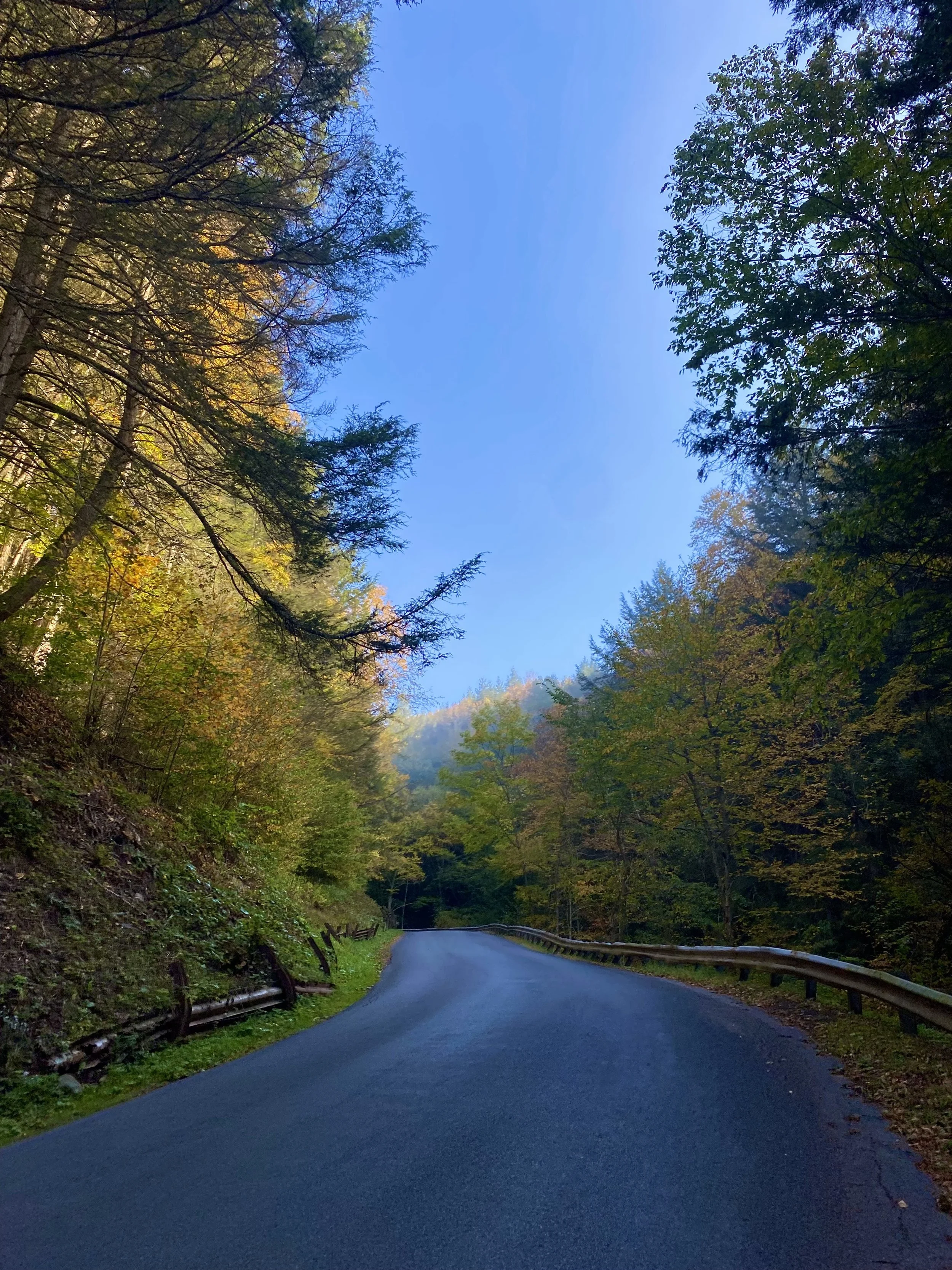 Little Red Kill Road.jpg