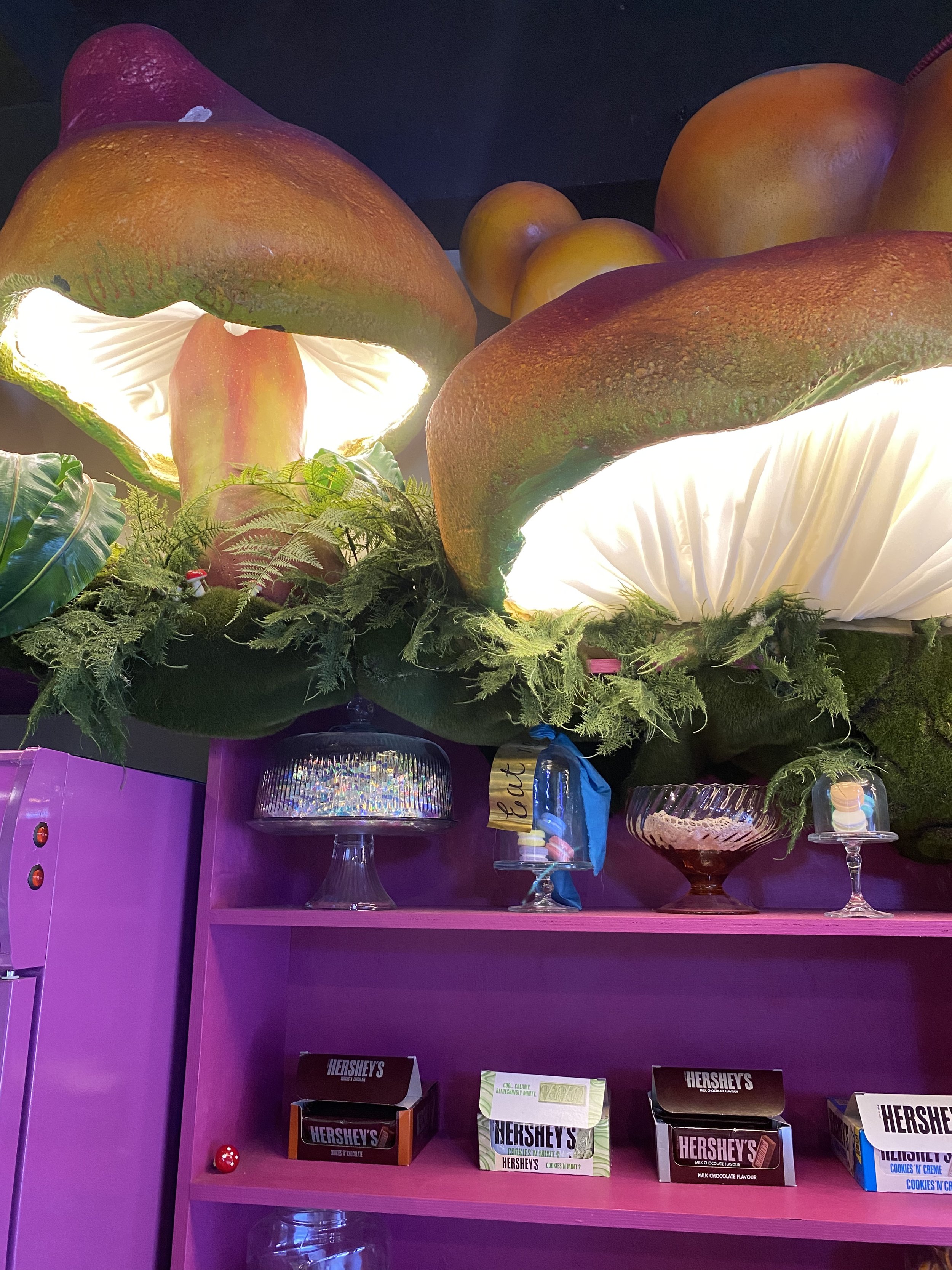 Psychedelic mushrooms
