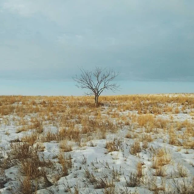 24838782_555036808181683_313307534846853120_n.jpg