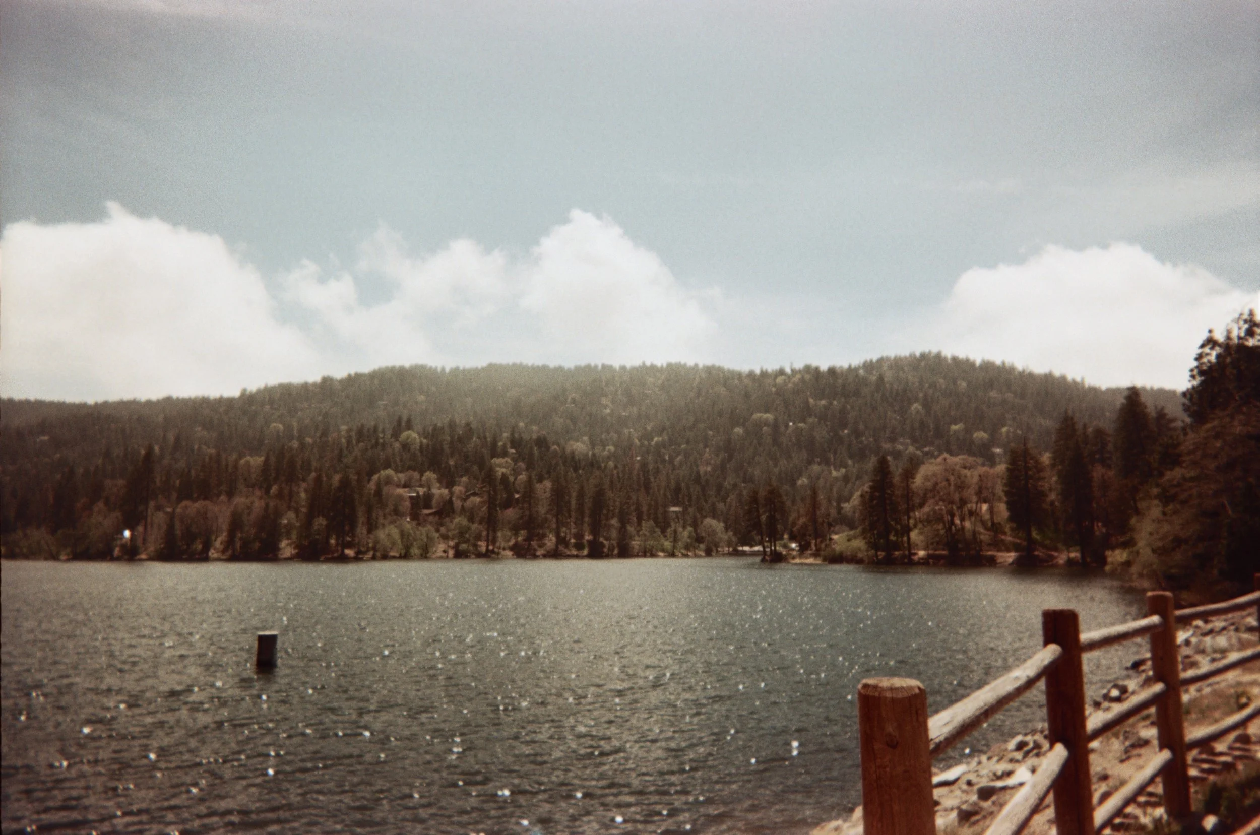 008_5A.JPG