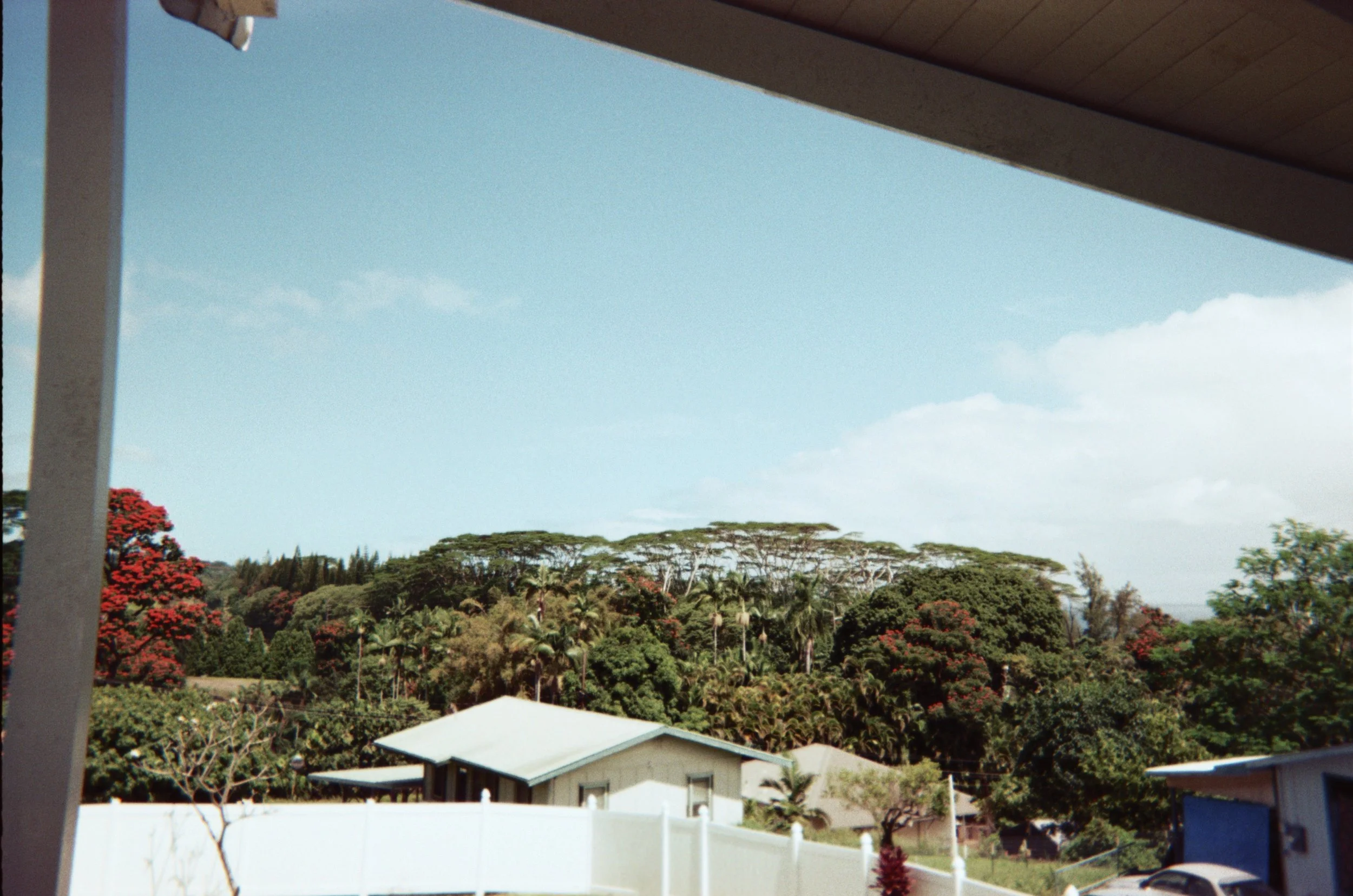 009_6A.JPG