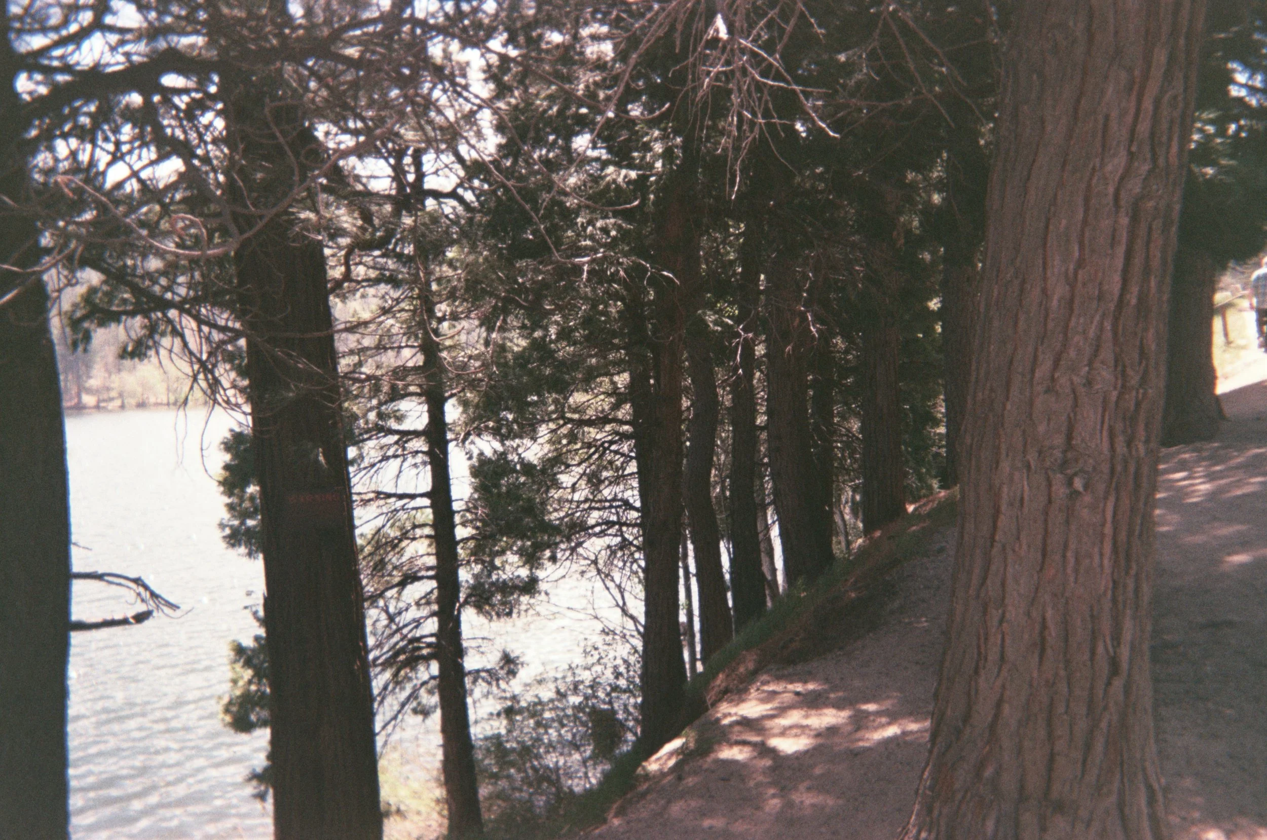006_3A.JPG