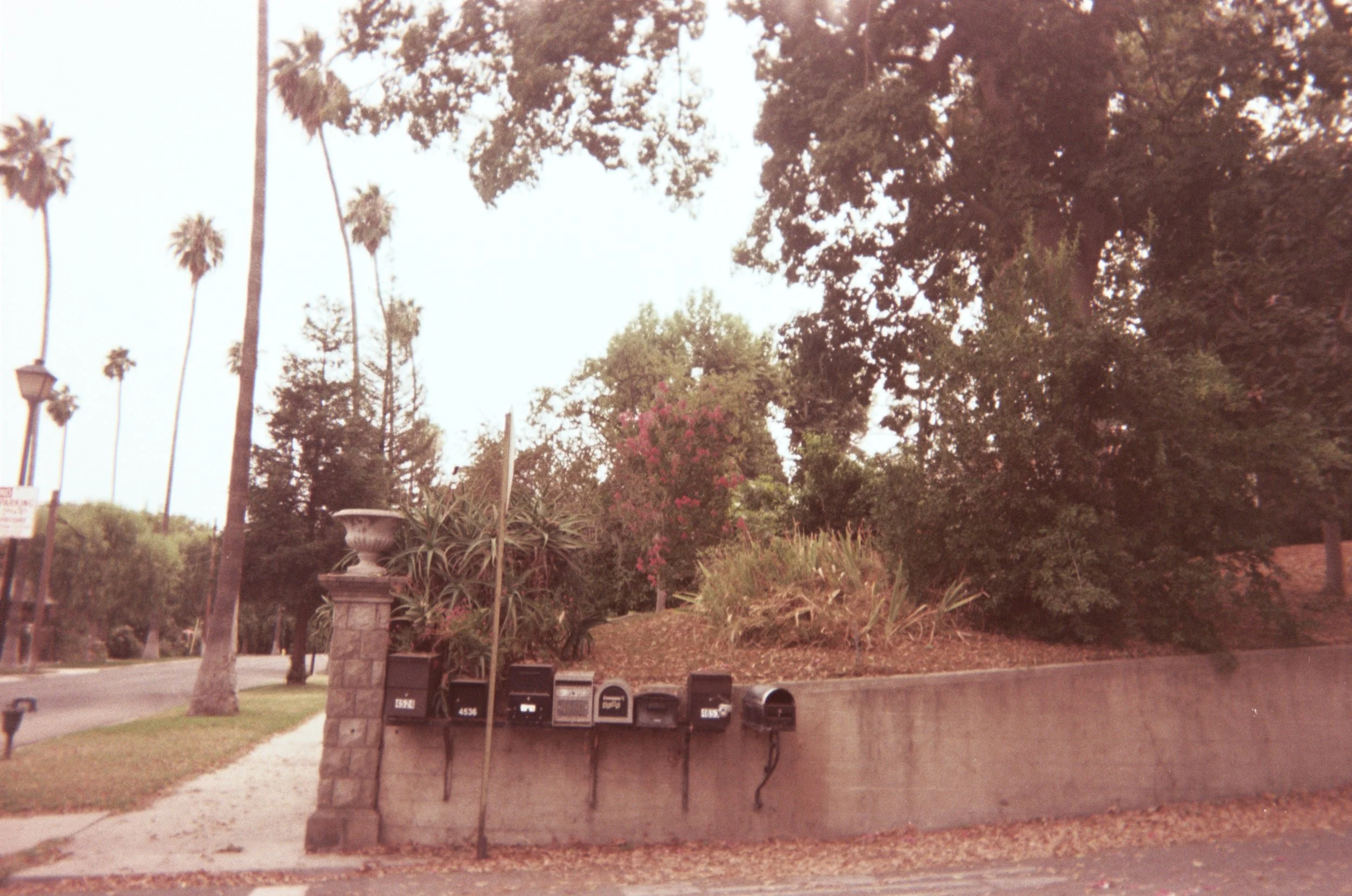 002_00A.JPG