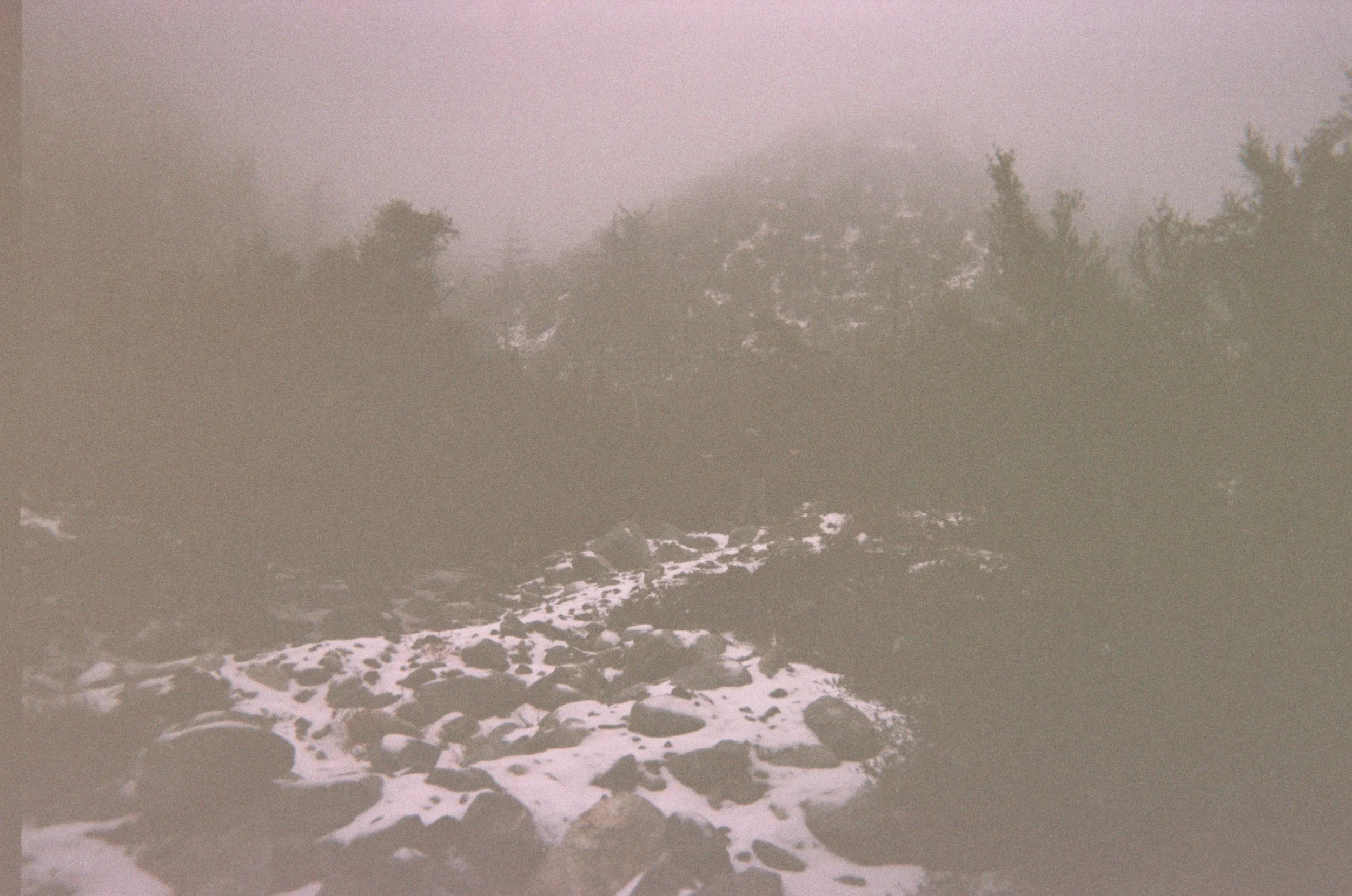 027_25A.JPG