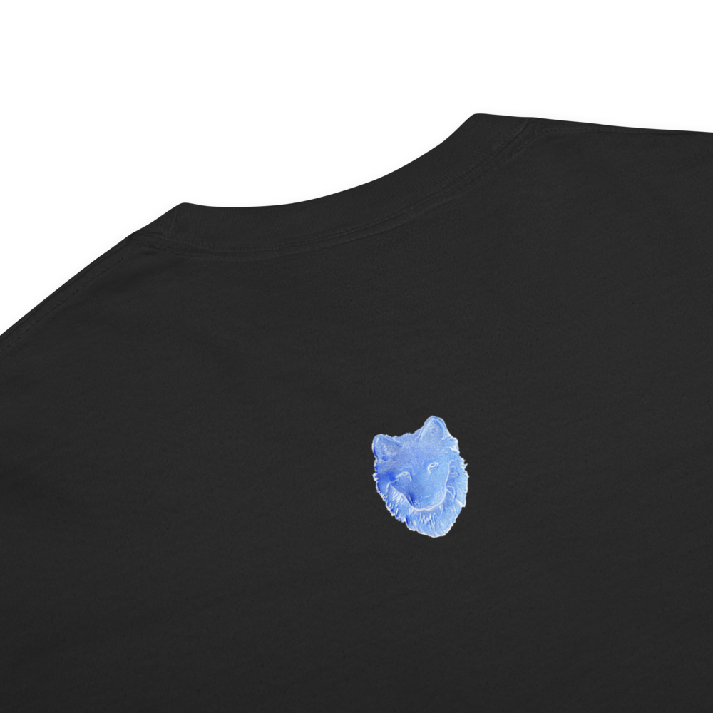 unisex-garment-dyed-heavyweight-t-shirt-black-product-details-6a24ab90eb153.png