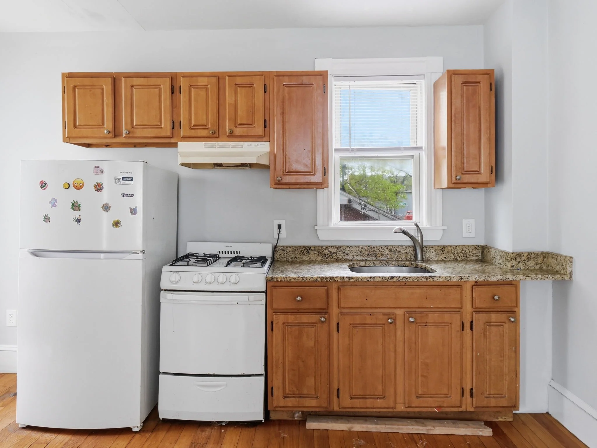9-web-or-mls-7_Corbet_St_Boston_MA_032.jpg