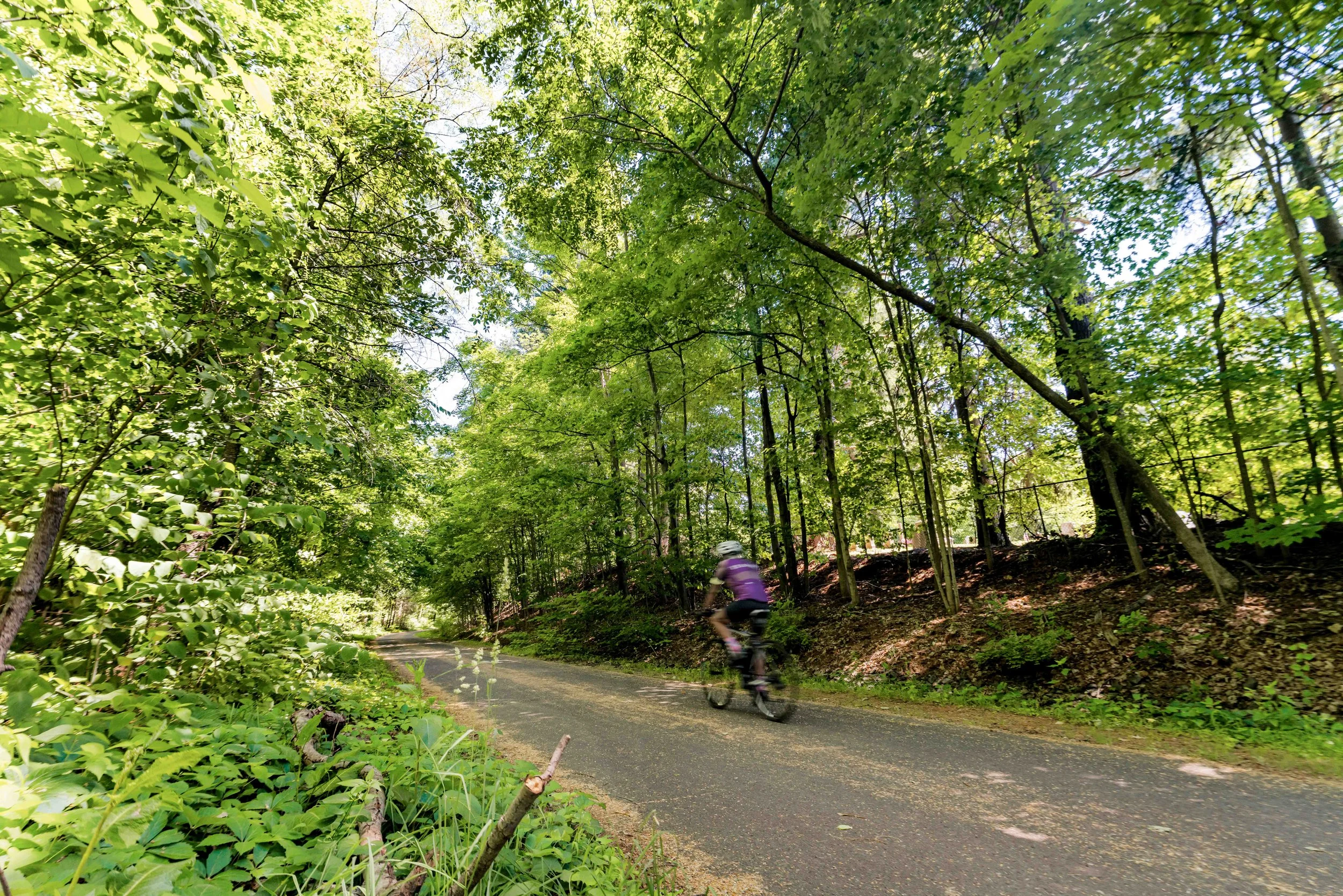 Bike Path-05434.jpg