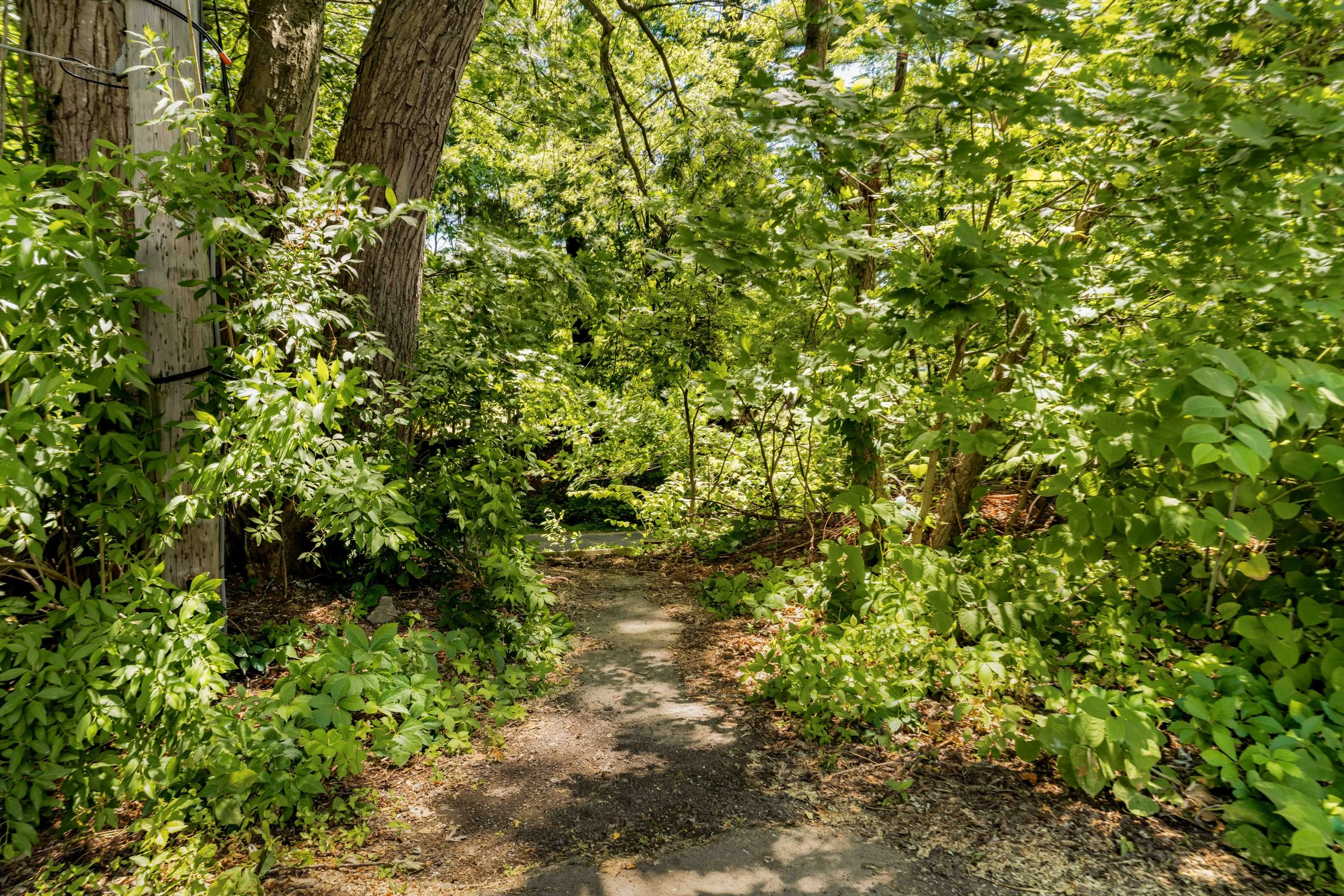 Bike Path-05443.jpg