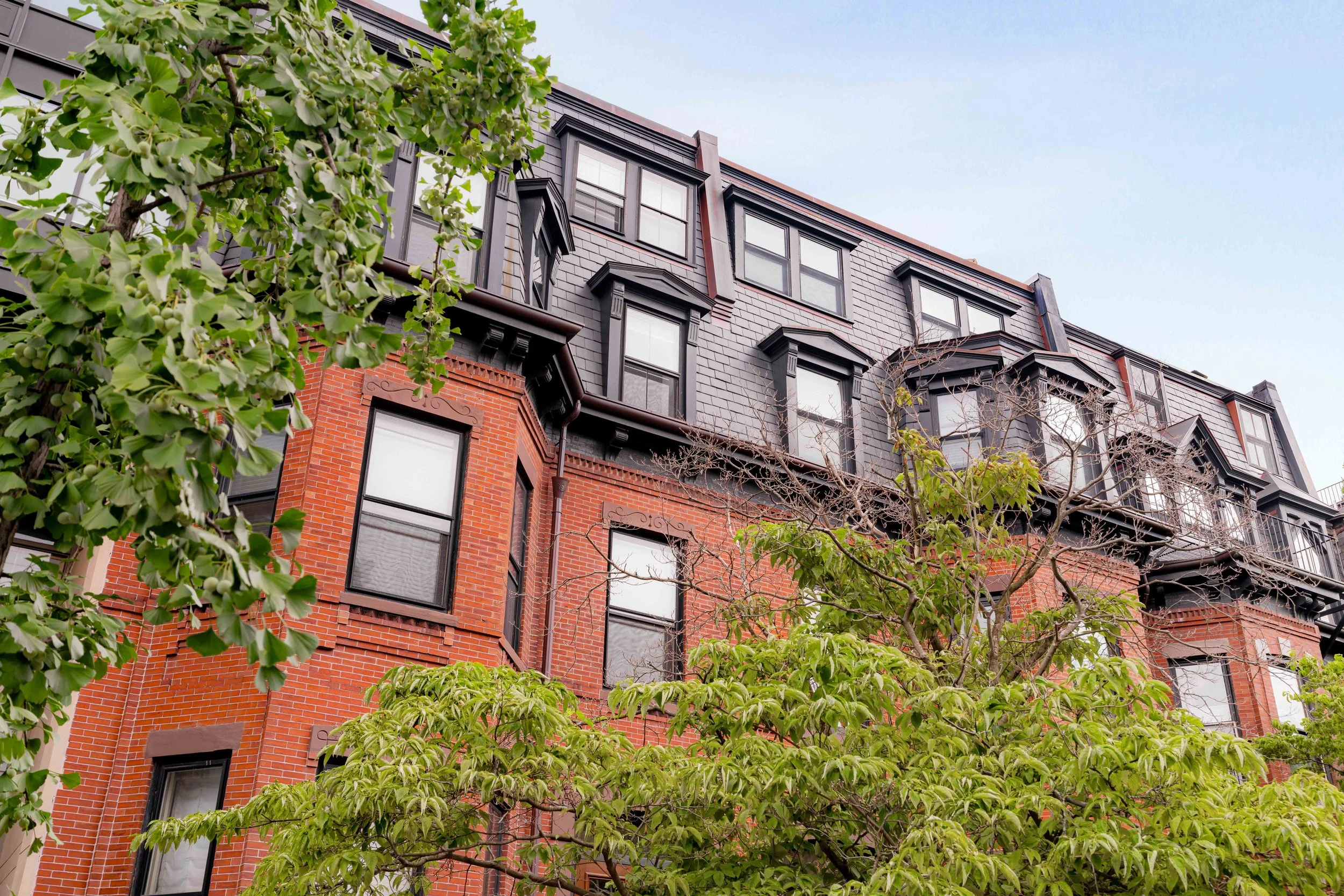 Building Façade-5.jpg