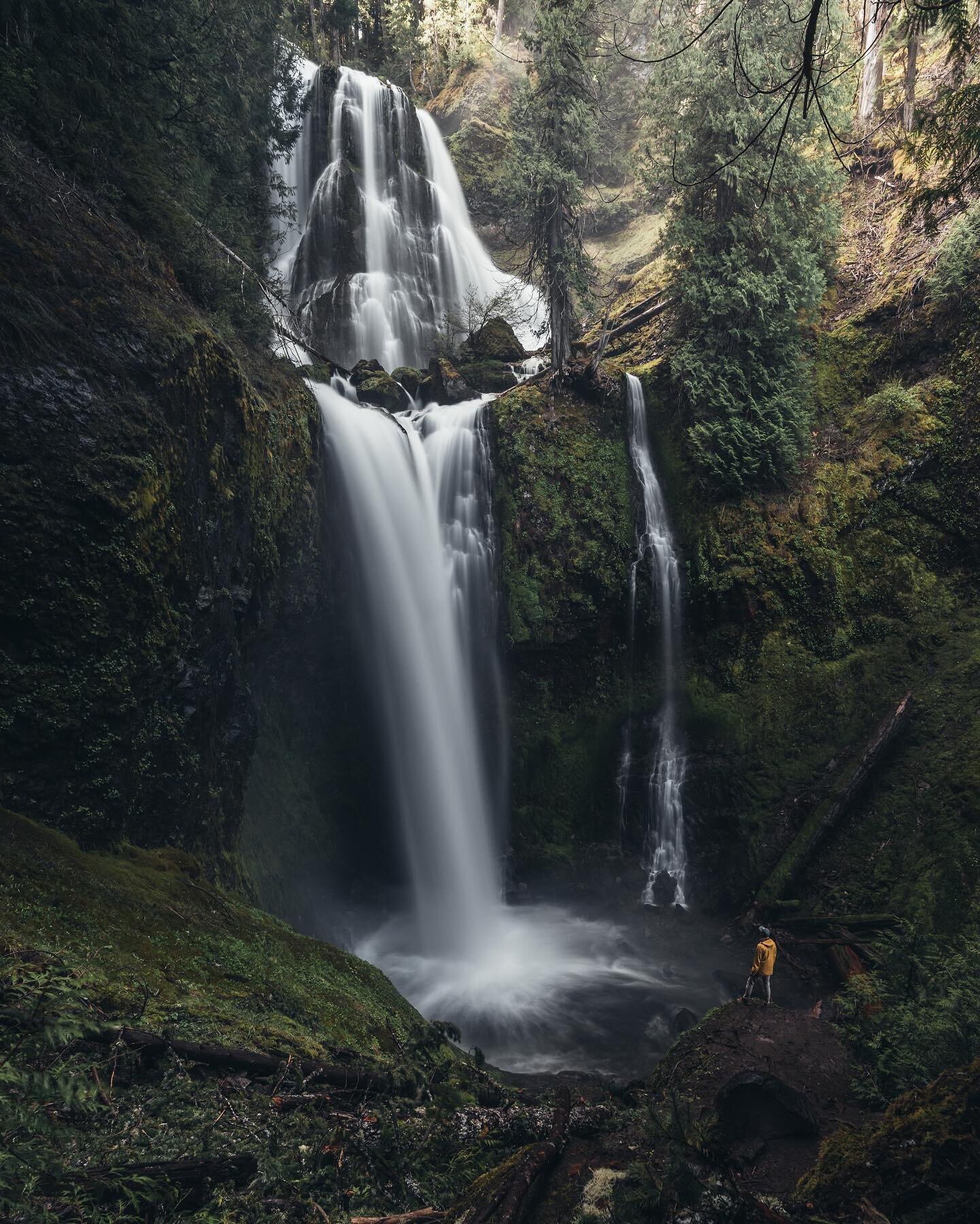I almost forgot about waterfall wednesday. Here&rsquo;s a moody one from Gifford Pinchot National Forest.
.
.
.
.
#waterfall #pnw #washington #earthoutdoors #pacificnorthwest #wildernessculture 
#stayandwander #heatercentral #pnw_shooters #streetfram