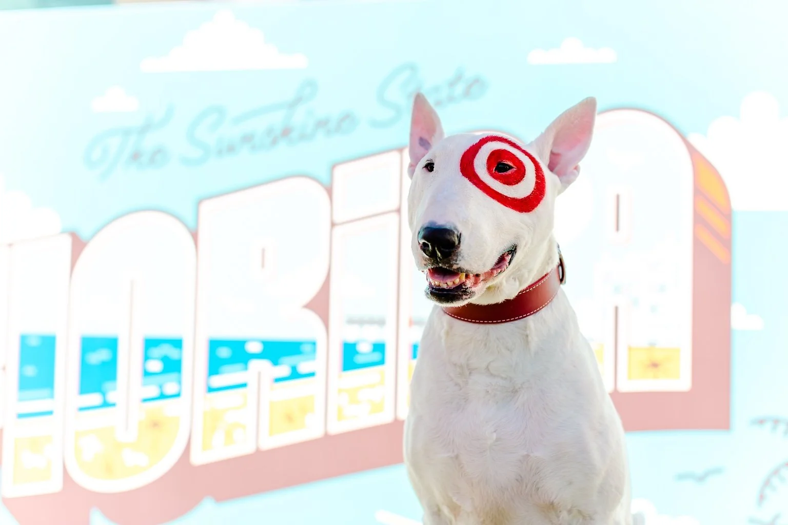 lotus-eyes-photography-brand-activation-01.jpg