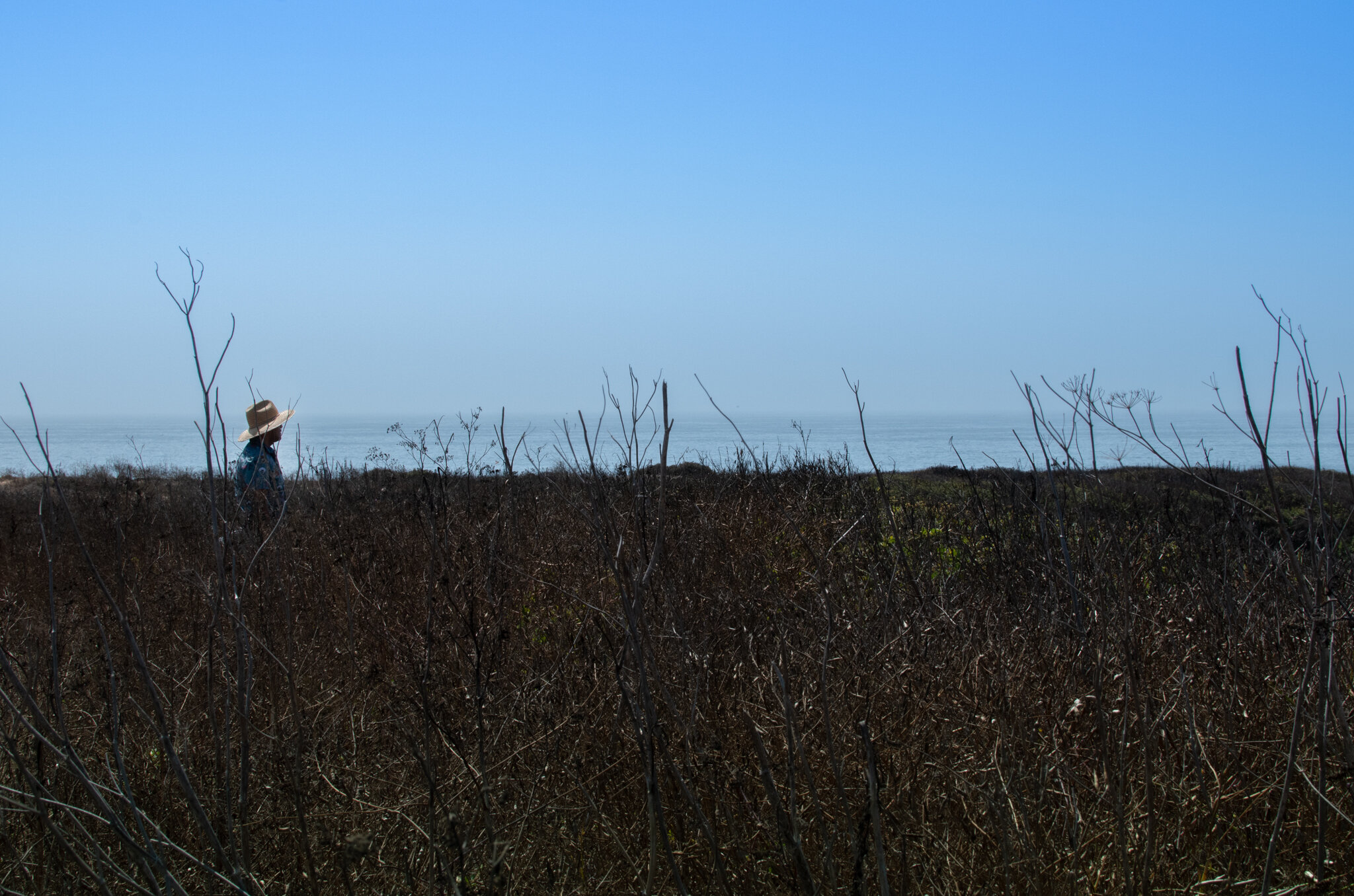 DSC_0119.jpg