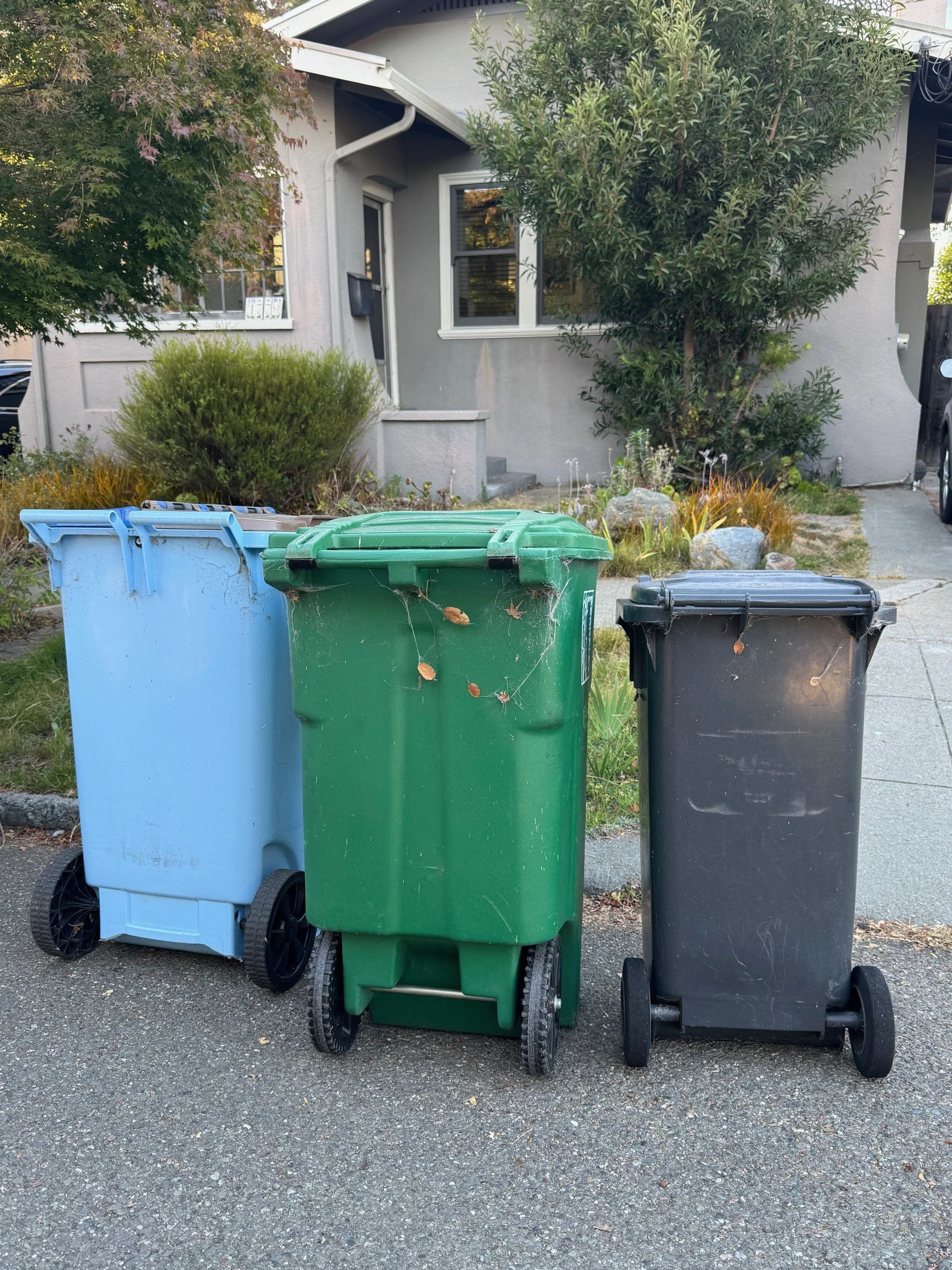 Trash Day