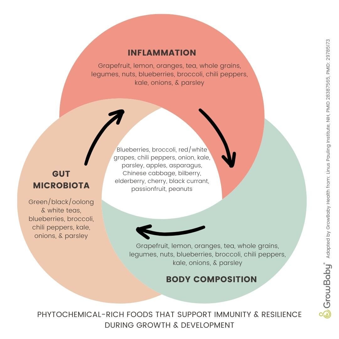 It's undeniable that phytochemical-rich foods offer a range of health benefits. I appreciate the interplay of how plants impact the core foundation of our health via our gut and immune system. I am all about a multi-tasking plant (like blueberries fo