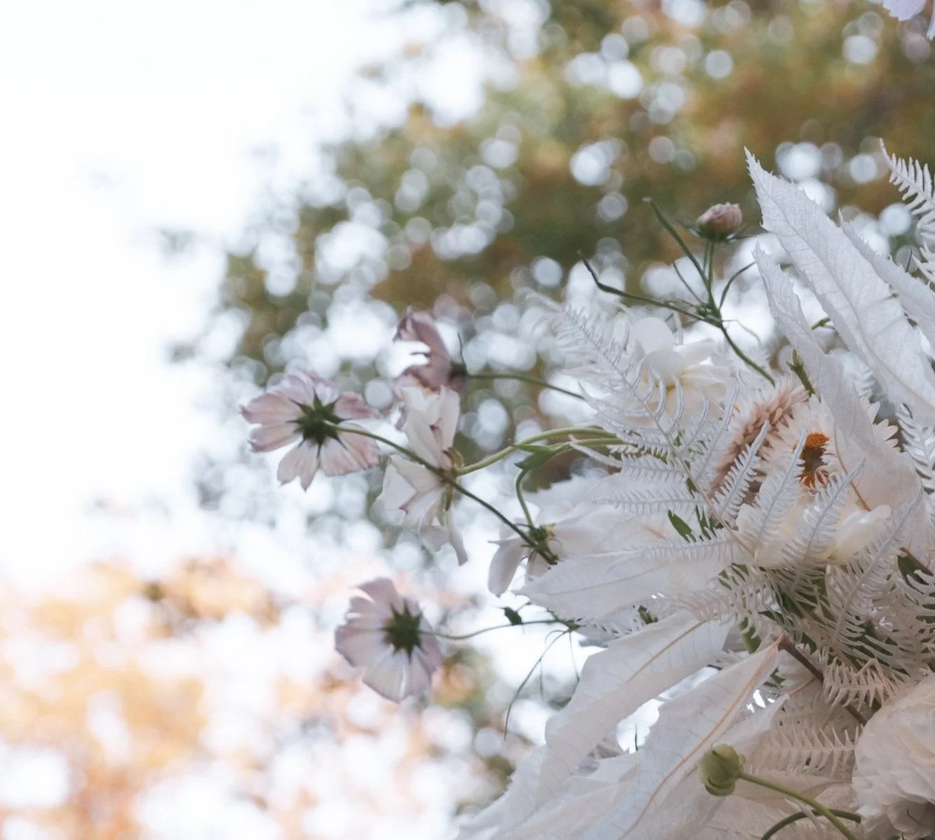 White+Bouquet+014.jpg