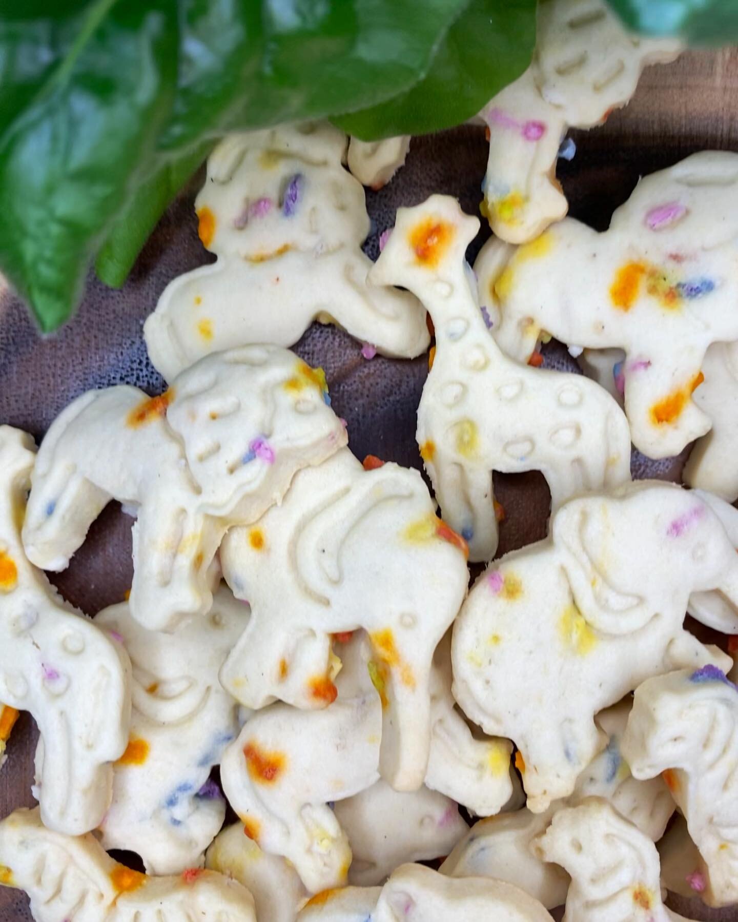 National Animal Crackers Day!
π¦ππ¦
#alexamaries #sweetsonstreets #glutenfree #glutenfreelife #customorders #customcakes #shopsmall #shoplocal #supportsmall #supportlocal #shopsmallbusiness #shoplocalbusiness #supportsmallbusiness #supportlocalbusi