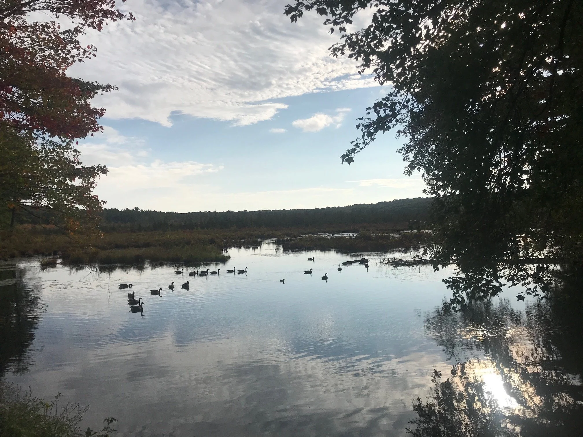 West Greenwich Land Trust