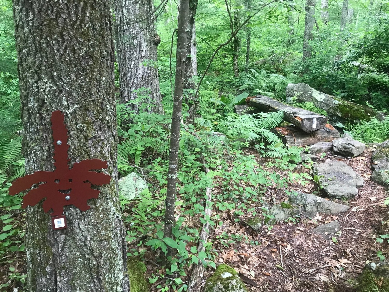 Pratt Conservation Area — West Greenwich Land Trust