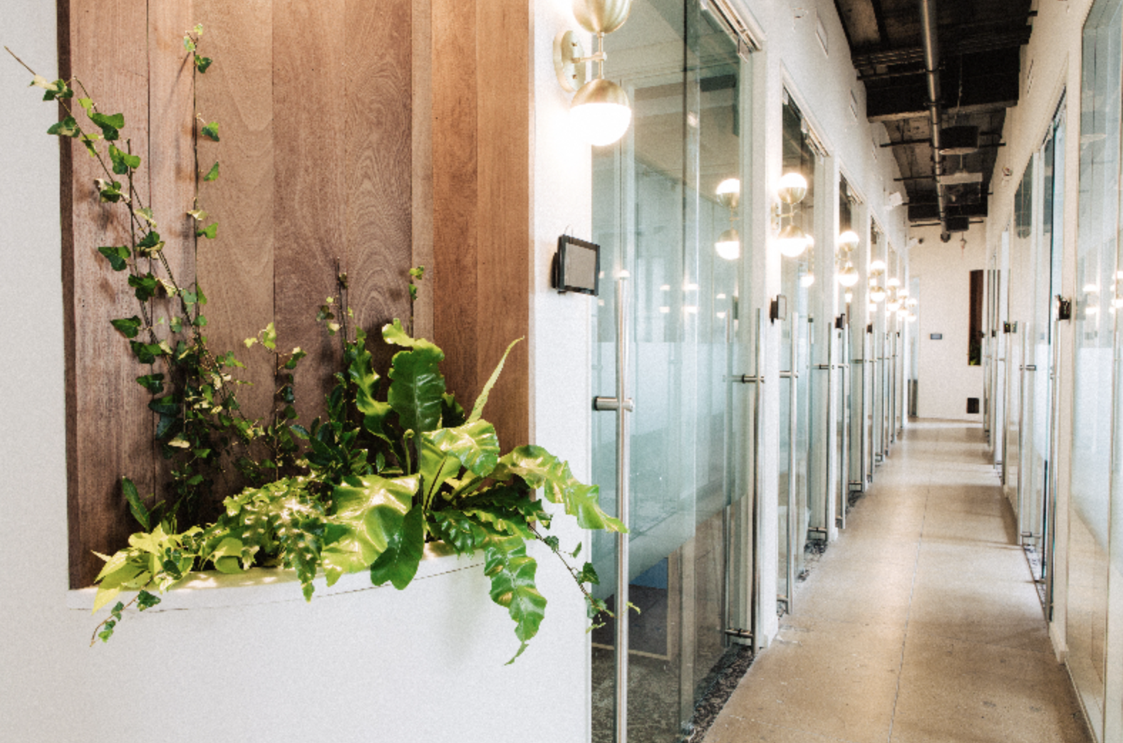 Screen Shot 2022-07-19 at 12.46.52 PM.png