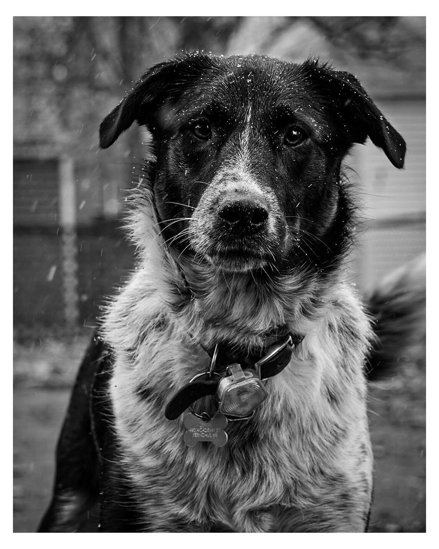 Well my not so little girl is now 4 years old&hellip; hard to not have her out with me for the time being, but I hope to get her out with me very soon. As for now, looking forward to seeing her when I come home tomorrow 😊

Swipe to the end for the b