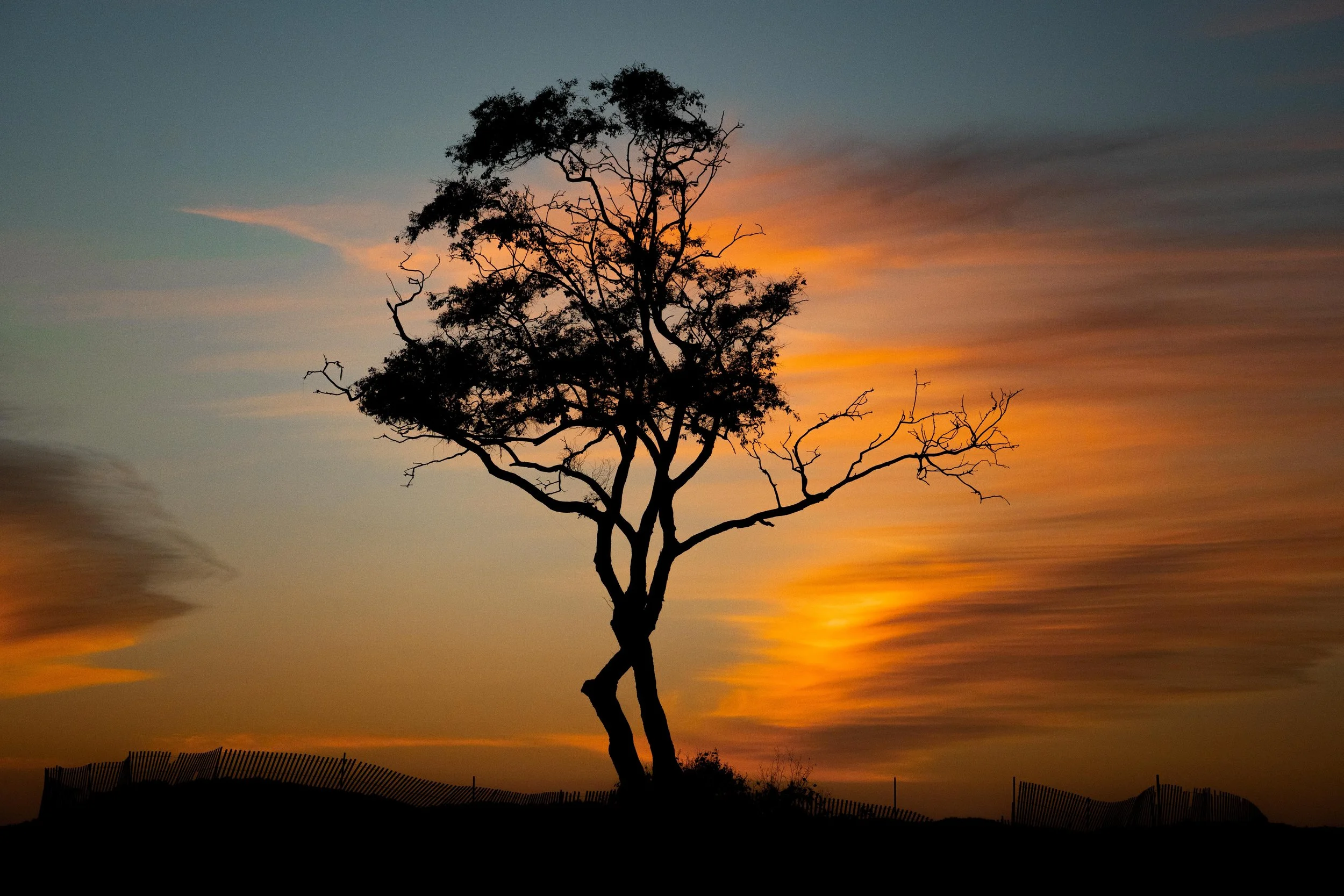 nk_20211219_carp sunset_0057.jpg