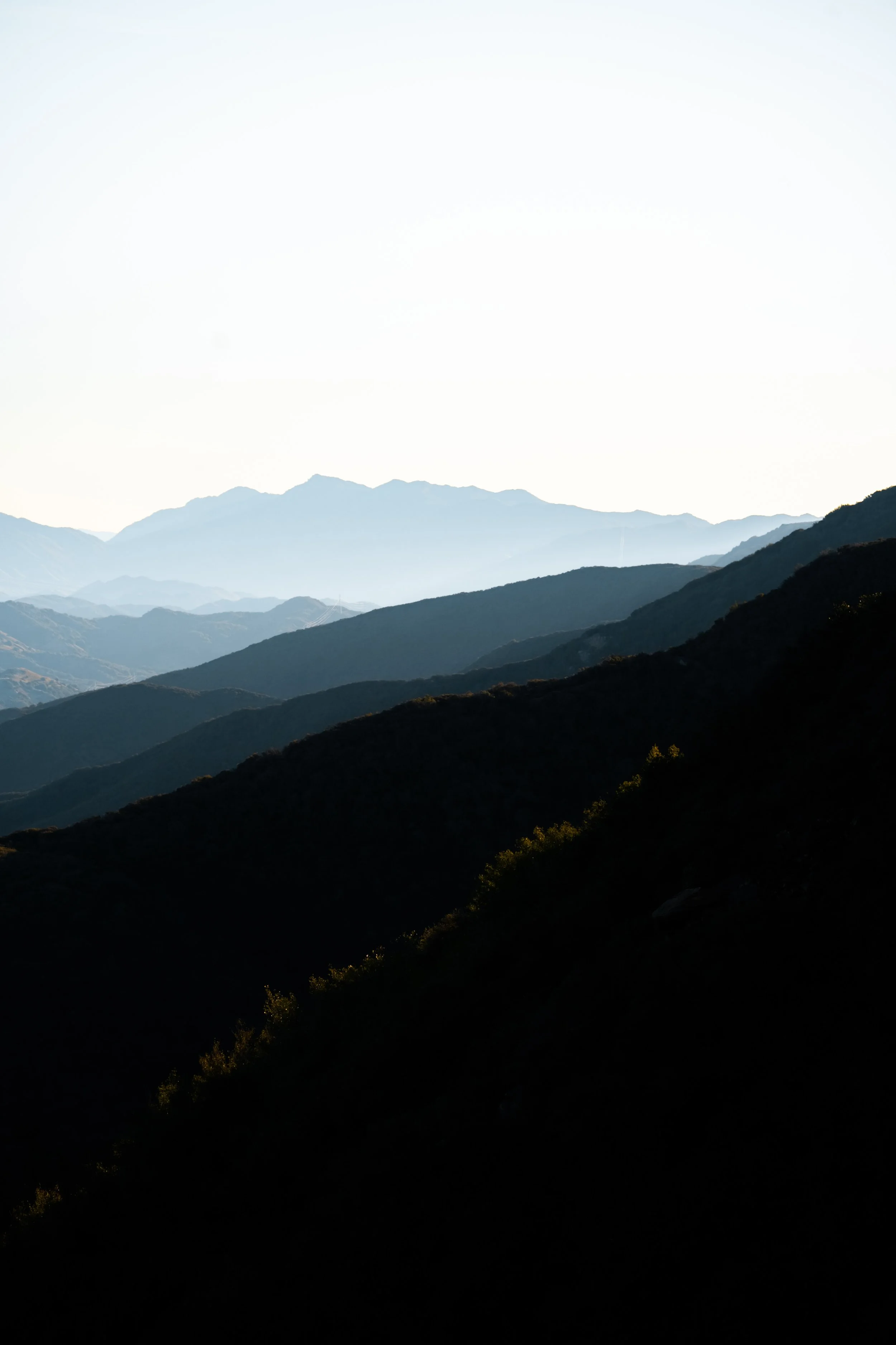 nk_20220105_morning in the mountains_0031.jpg