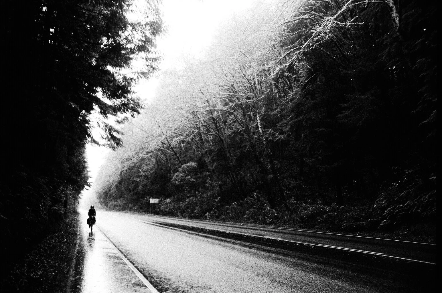 nk_bike_tour_roll_2_007.jpg