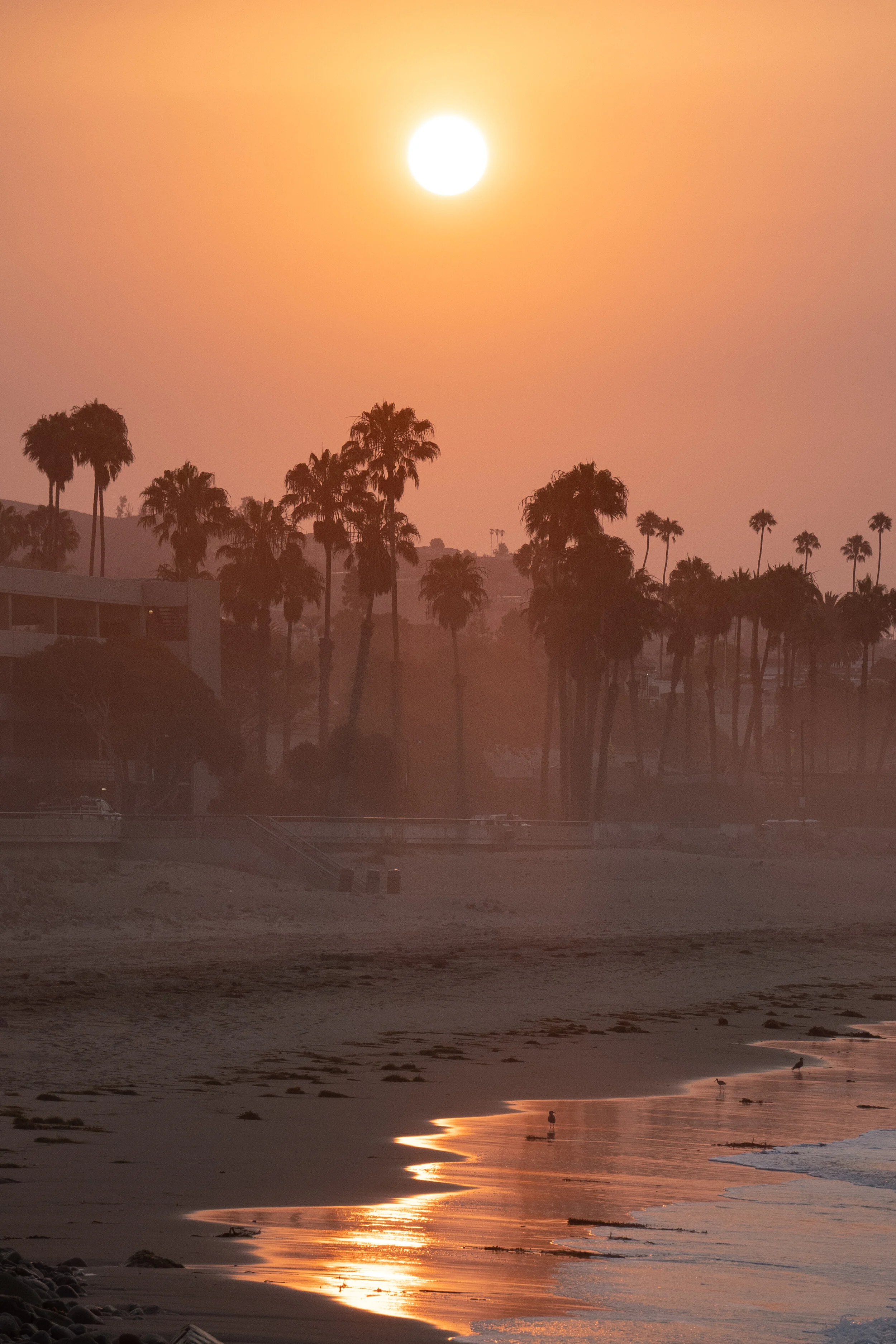 nk_20210816_ventura dawn aptrol_072.jpg