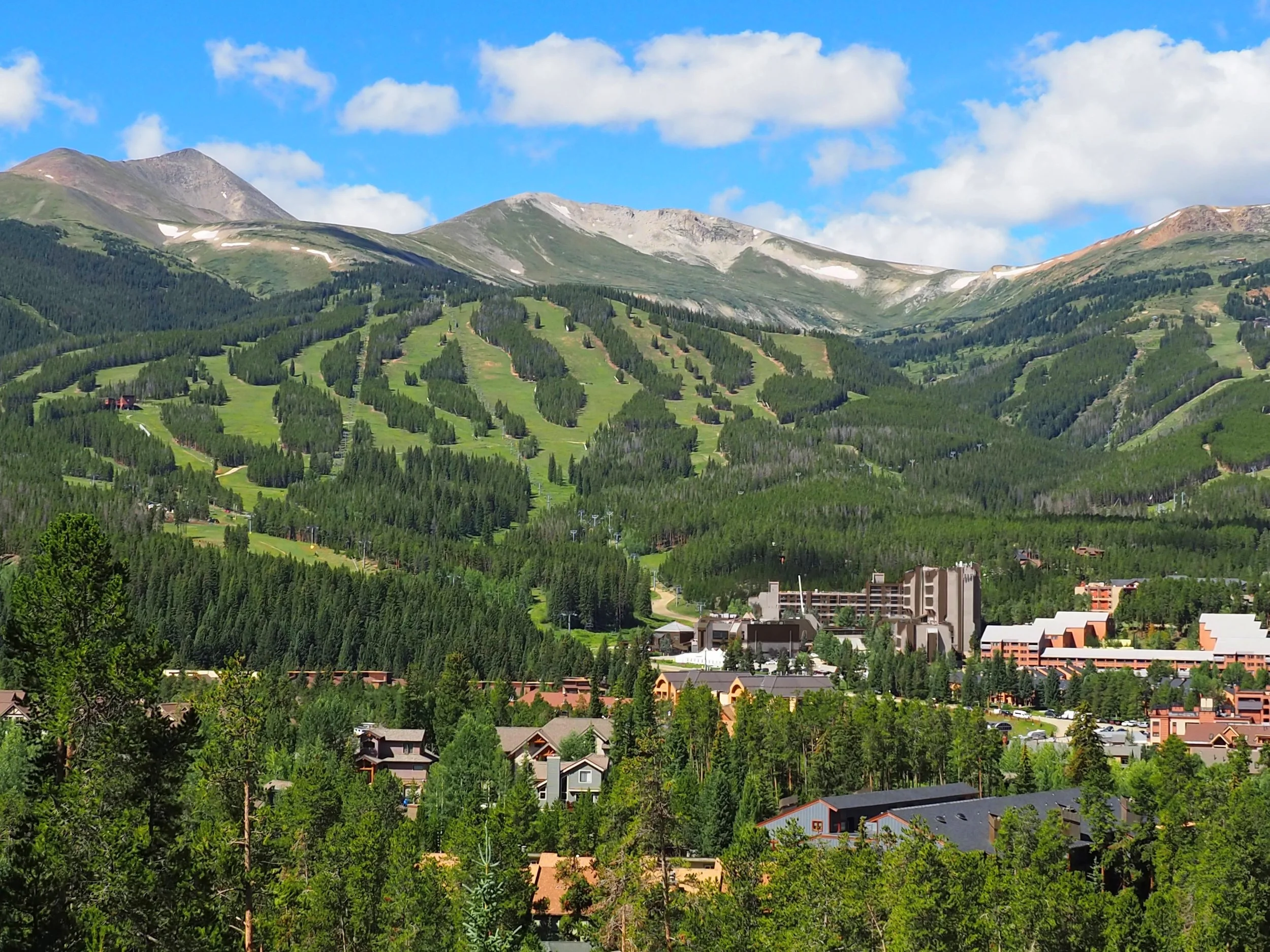 Beaver Run with Peak 9_summer_use this_Elaine Collins_colorized (1).jpg