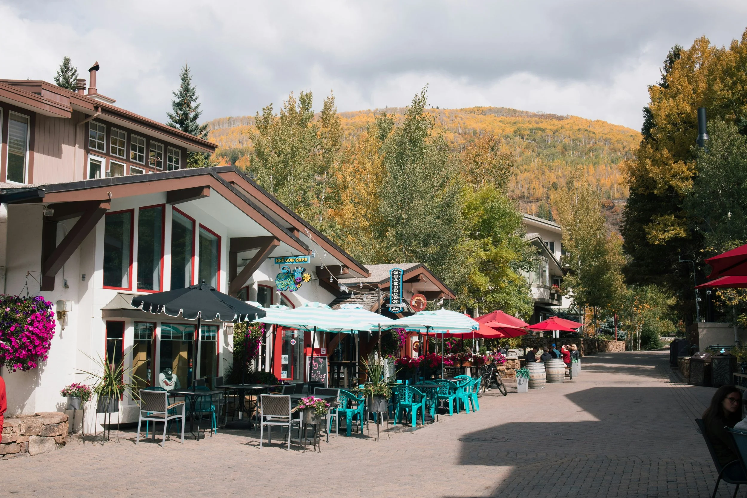 Vail Shops